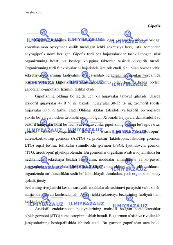 Ilmiybaza.uz 
 
 
Gipofiz 
 
 
Gipofiz (hypophysis) kalla suyagini turk egari sohasida, miya asosidagi 
voronkasimon oyoqchada osilib turadigan ichki sekretsiya bezi, ustki tomondan 
neyrogipofiz nomi berilgan. Gipofiz turli bez hujayralaridan tashkil topgan, ular 
organizmning holati va boshqa ko`pgina faktorlar ta'sirida o`zgarib turadi. 
Organizmning turli funktsiyalarini bajarishda ishtirok etadi. Shu bilan boshqa ichki 
sekretsiya bezlarining faoliyatini, o`ziga ishlab beradigan gormonlari yordamida 
boshqarib turadi. Gipofiz funktsiyasi gipotalamus bilan bog`liq holda bo`lib, 
gapotalamo-gipofizor tizimini tashkil etadi. 
 
Gipofizning oldingi bo`lagida uch xil hujayralar tafovut qilinadi. Ularda 
atsidofil qujayralar 4-10 % ni, bazofil hujayralar 30-35 % ni, xromofil (bosh) 
hujayralar 60 % ni tashkil etadi. Oldingi ikkitasi (atsidofil va bazofil) bo`yoqlarda 
yaxshi bo`yalgani uchun xromofil nomini olgan. Xromofil hujayralardan atsidofil va 
bazofil hujayralar hosil bo`ladi. Sut emizuvchilar gipofizning oldingi bo`lagida 6 xil 
gormon 
ishlab 
chiqariladi. 
Bularga: 
o`sish 
gormoni 
(somatotropin), 
adrenokortikotrop gormoni (AKTG) va prolaktin (laktotropin, laktotrop gormoni 
LTG) oqsil bo`lsa, follikulni stimullovchi gormon (FSG), lyutinlovchi gormon 
(TTG, tireotropin) glyukoproteindir. Bu gormonlar orgashzm o`sib rivojlanishida bir 
nechta ichki sekretsiya bezlari faoliyatini, moddalar almashinuvi va ko`payish 
jarayonlarini boshqarishda ishtirok etadi. Gipofizning oldingi qismi olib tashlansa, 
organizmda turli kasalliklar sodir bo`la boshlaydi. Jumladan, yosh organizm o`smay 
qoladi, jinsiy  
bezlarning rivojlanishi keskin susayadi, moddalar almashinuvi pasayishi va buzilishi 
natijasida quvvati kuchsizlanadi. Ayrim ichki sekretsiya bezlarining faoliyati ham 
keskin buziladi.  
 
Atsidofil endokrinotsit hujayralarining mahsuli bo`lgan somatotrotsitlar 
o`sish gormoni (STG) somatotropinni ishlab beradi. Bu gormon o`sish va rivojlanish 
jarayonlarining boshqarilishida ishtirok etadi. Bu gormon gapofizdan toza holda 
