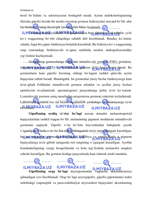 Ilmiybaza.uz 
 
hosil bo`lishini va sekretsiyasini boshqarib turadi. Ayrim endokrinologlarning 
fikricha gipofiz bezida bir nechta tireotrop gormon fraktsiyalari mavjud bo`lib, ular 
bir-biridan o`zining fiziologik xususiyatlari bilan farqlanadi. 
 
Tireotrop fraktsiyalaridan biri qalqonsimon bezi ishtirokisiz ekzoftalm, ya'ni 
ko`z soqqasining bo`rtib chiqishiga sababli deb hisoblanadi. Bunday ko`rinish, 
odatda, faqat bez giper-funktsiyasi holatida kuzatiladi. Bu fraktsiya ko`z soqqasining 
orqa tomonidagi biriktiruvchi to`qima tarkibida nordon mukopolisaxaridlar 
yig`ilishini kuchaytiradi.  
 
Gonadotrop gormonlariga follikulni stimullovchi gormon (FSG) prolaktin, 
laktrotrop gormon (LTG) va lyutenlovchi gormon (LG) lyuteotropin kiradi. Bu 
gormonlarni ham gipofiz bezining oldingi bo`lagani tashkil qiluvchi ayrim 
hujayralar ishlab beradi. Shuningdek, bu gormonlar jinsiy bezlar funktsiyasiga ham 
ta'sir qiladi.  Follikulni stimullovchi gormon erkaklar va ayollar jinsiy bezlari 
epiteliysini rivojlantiradi, spermatogenez jarayonlariga ijobiy ta'sir ko`rsatadi. 
Lyutenlovchi gormon sariq tanachadan progesteron gormoni sintezini tezlashtiradi. 
Laktotropin gormoni esa sut bezini rivojlantirib yetilishiga va laktatsiyasiga ta'sir 
ko`rsatadi. 
 
Gipofizning oraliq (o`rta) bo`lagi asosan donador melanotropotsid 
hujayralaridan tashkil topgan bo`lib, melaninning pigment moddasini stimullovchi 
gormonni saqlaydi. Gipofiz o`rta bo`limi hayvonlardan baliqlarda yaxshi 
o`rganilgan. Ularda o`rta bo`lim olib tashlanganida terisi rangsizlangani kuzatilgan, 
bu esa melanofor gormoniga bog`liqdir. Amfibiya va reptiliyalarda u pigment 
hujayralariga ta'sir qilishi natajasida teri rangining o`zgargani kuzatilgan. Ayollar 
homiladorligining oxirgi bosqichlarida va bola tug`ilishida melanofor miqdori 
oshishi kuzatilgan. Bu gormon boshqa jarayonlarda ham ishtirok etishi mumkin.  
 
 
 
Gipofizning orqa bo`lagi neyrogormonlar vaqtincha akkumulyatsiya 
qilinadigan a'zo hisoblanadi. Orqa bo`lagi neyrogipofiz, gipofiz-gipotalamus trakti 
tarkibidagi (supraoptik va paraveshrikulyar neyrosekret hujayralar) aksonlarning 
