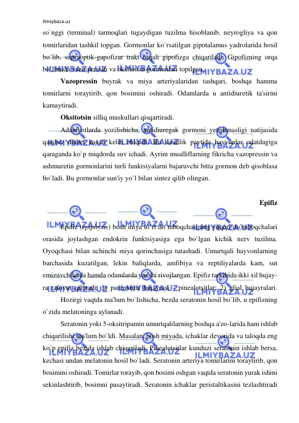 Ilmiybaza.uz 
 
so`nggi (terminal) tarmoqlari tugaydigan tuzilma hisoblanib, neyrogliya va qon 
tomirlaridan tashkil topgan. Gormonlar ko`rsatilgan gipotalamus yadrolarida hosil 
bo`lib, supraoptik-gapofizar trakt orqali gipofizga chiqariladi. Gipofizning orqa 
bo`limida vazo-pressin va oksitotsin gormonlari topilgan.  
 
Vazopressin buyrak va miya arteriyalaridan tashqari, boshqa hamma 
tomirlarni toraytirib, qon bosimini oshiradi. Odamlarda u antidiuretik ta'sirini 
kamaytiradi.  
 
Oksitotsin silliq muskullari qisqartiradi.  
 
Adabiyotlarda yozilishicha, antidiuregak gormoni yetishmasligi natijasida 
qandsiz diabet kasali kelib chiqadi. Bu kasallik paytida hayvonlar odatdagiga 
qaraganda ko`p miqdorda suv ichadi. Ayrim mualliflarning fikricha vazopressin va 
ashmuretin gormonlarini turli funktsiyalarni bajaruvchi bitta gormon deb qisoblasa 
bo`ladi. Bu gormonlar sun'iy yo`l bilan sintez qilib olingan.  
 
Epifiz 
 
 
Epifiz (epiphysis) bosh miya to`rt do`mboqchasining yuqori do`mboqchalari 
orasida joylashgan endokrin funktsiyasiga ega bo`lgan kichik nerv tuzilma. 
Oyoqchasi bilan uchinchi miya qorinchasiga tutashadi. Umurtqali hayvonlarning 
barchasida kuzatilgan, lekin baliqlarda, amfibiya va reptiliyalarda kam, sut 
emizuvchilarda hamda odamlarda yaxshi rivojlangan. Epifiz tarkibida ikki xil hujay-
ra tafovut qilinadi: 1) parenxima hujayrasi - pinealotsitlar; 2) glial hujayralari. 
 
Hozirgi vaqtda ma'lum bo`lishicha, bezda seratonin hosil bo`lib, u epifizning 
o`zida melatoninga aylanadi.  
 
Seratonin yoki 5-oksitripamin umurtqalilarning boshqa a'zo-larida ham ishlab 
chiqarilishi ma'lum bo`ldi. Masalan, bosh miyada, ichaklar devorida va taloqda eng 
ko`p epifiz bezida ishlab chiqariladi. Pinealotsitlar kunduzi seratonin ishlab bersa, 
kechasi undan melatonin hosil bo`ladi. Seratonin arteriya tomirlarini toraytirib, qon 
bosimini oshiradi. Tomirlar torayib, qon bosimi oshgan vaqtda seratonin yurak ishini 
sekinlashtirib, bosimni pasaytiradi. Seratonin ichaklar peristaltikasini tezlashtiradi 
