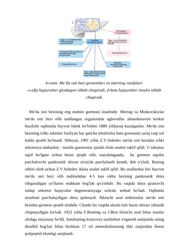 4-rasm. Me’da osti bezi gormonlari va ularning vazifalari.
-alfa hujayralari glyukagon ishlab chiqaradi, -beta hujayralari insulin ishlab
chiqaradi.
Me'da osti bezining eng muhim gormoni insulindir. Mering va Minkovskiylar
me'da  osti  bezi  olib  tashlangan  organizmda  uglevodlar  almashinuvini  keskin
buzilishi oqibatida hayvon halok bo'lishini 1889 yildayoq kuzatganlar. Me'da osti
bezining ichki sekretor faoliyati har qancha tekshirilsa ham gormonni uzoq vaqt sof
holda ajratib bo'lmadi. Nihoyat, 1901 yilda Z.V.Sobolev me'da osti bezidan ichki
sekretsiya mahsuloti - insulin gormonini ajratib olish usulini taklif qildi. U tabiatan
oqsil  bo'lgani  uchun  bezni  qirqib  olib,  maydalaganda,   bu  gormon  oqsilni
parchalovchi pankreatik shirasi ta'sirida parchalanib ketadi, deb o'yladi. Buning
oldini olish uchun Z.V.Sobolev ikkita usulni taklif qildi. Bu usullardan biri hayvon
me'da  osti  bezi  olib  tashlashdan  4-5  kun  oldin  bezning  pankreatik  shira
chiqaradigan yo'llarini  mahkam  bog'lab  qo'yishdir.  Bu  vaqtda shira  ajratuvchi
tashqi  sekretor  hujayralar  degeneratsiyaga  uchrab,  nobud  bo'ladi.  Oqibatda
insulinni  parchalaydigan  shira  qolmaydi.  Ikkinchi  usul  embrionlar  me'da  osti
bezidan gormon ajratib olishdir. Chunki bu vaqtda ularda hali hazm shirasi ishlanib
chiqmaydigan bo'ladi. 1922 yilda F.Bonting va J.Best birinchi usul bilan insulin
olishga muyassar bo'ldi. Insulinning kimyoviy tuzilishini o'rganish natijasida uning
disulfid  bog'lari  bilan  birikkan  17  xil  aminokislotaning  ikki  zanjiridan  iborat
polipeptid ekanligi aniqlandi.
