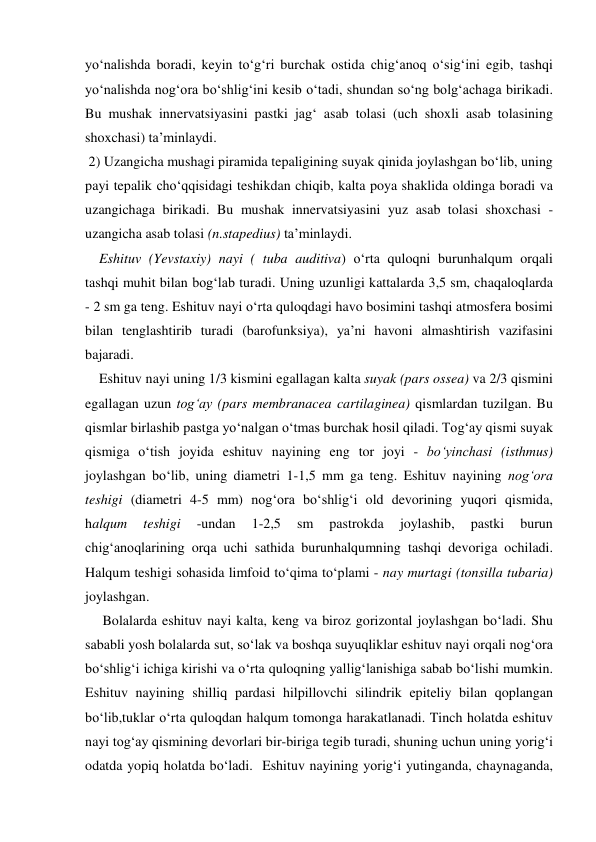 yo‘nalishda boradi, keyin to‘g‘ri burchak ostida chig‘anoq o‘sig‘ini egib, tashqi 
yo‘nalishda nog‘ora bo‘shlig‘ini kesib o‘tadi, shundan so‘ng bolg‘achaga birikadi. 
Bu mushak innervatsiyasini pastki jag‘ asab tolasi (uch shoxli asab tolasining 
shoxchasi) ta’minlaydi. 
 2) Uzangicha mushagi piramida tepaligining suyak qinida joylashgan bo‘lib, uning 
payi tepalik cho‘qqisidagi teshikdan chiqib, kalta poya shaklida oldinga boradi va 
uzangichaga birikadi. Bu mushak innervatsiyasini yuz asab tolasi shoxchasi - 
uzangicha asab tolasi (n.stapedius) ta’minlaydi.  
    Eshituv (Yevstaxiy) nayi ( tuba auditiva) o‘rta quloqni burunhalqum orqali  
tashqi muhit bilan bog‘lab turadi. Uning uzunligi kattalarda 3,5 sm, chaqaloqlarda 
- 2 sm ga teng. Eshituv nayi o‘rta quloqdagi havo bosimini tashqi atmosfera bosimi 
bilan tenglashtirib turadi (barofunksiya), ya’ni havoni almashtirish vazifasini 
bajaradi.  
    Eshituv nayi uning 1/3 kismini egallagan kalta suyak (pars ossea) va 2/3 qismini 
egallagan uzun tog‘ay (pars membranacea cartilaginea) qismlardan tuzilgan. Bu 
qismlar birlashib pastga yo‘nalgan o‘tmas burchak hosil qiladi. Tog‘ay qismi suyak 
qismiga o‘tish joyida eshituv nayining eng tor joyi - bo‘yinchasi (isthmus) 
joylashgan bo‘lib, uning diametri 1-1,5 mm ga teng. Eshituv nayining nog‘ora 
teshigi (diametri 4-5 mm) nog‘ora bo‘shlig‘i old devorining yuqori qismida, 
halqum 
teshigi 
-undan 
1-2,5 
sm 
pastrokda 
joylashib, 
pastki 
burun 
chig‘anoqlarining orqa uchi sathida burunhalqumning tashqi devoriga ochiladi. 
Halqum teshigi sohasida limfoid to‘qima to‘plami - nay murtagi (tonsilla tubaria) 
joylashgan. 
     Bolalarda eshituv nayi kalta, keng va biroz gorizontal joylashgan bo‘ladi. Shu 
sababli yosh bolalarda sut, so‘lak va boshqa suyuqliklar eshituv nayi orqali nog‘ora 
bo‘shlig‘i ichiga kirishi va o‘rta quloqning yallig‘lanishiga sabab bo‘lishi mumkin. 
Eshituv nayining shilliq pardasi hilpillovchi silindrik epiteliy bilan qoplangan 
bo‘lib,tuklar o‘rta quloqdan halqum tomonga harakatlanadi. Tinch holatda eshituv 
nayi tog‘ay qismining devorlari bir-biriga tegib turadi, shuning uchun uning yorig‘i 
odatda yopiq holatda bo‘ladi.  Eshituv nayining yorig‘i yutinganda, chaynaganda, 
