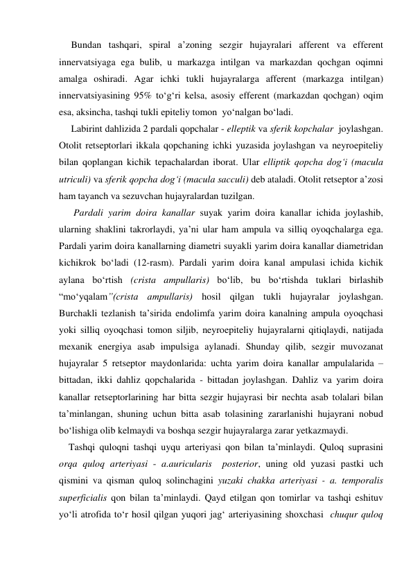      Bundan tashqari, spiral a’zoning sezgir hujayralari afferent va efferent 
innervatsiyaga ega bulib, u markazga intilgan va markazdan qochgan oqimni 
amalga oshiradi. Agar ichki tukli hujayralarga afferent (markazga intilgan) 
innervatsiyasining 95% to‘g‘ri kelsa, asosiy efferent (markazdan qochgan) oqim 
esa, aksincha, tashqi tukli epiteliy tomon  yo‘nalgan bo‘ladi. 
     Labirint dahlizida 2 pardali qopchalar - elleptik va sferik kopchalar  joylashgan. 
Otolit retseptorlari ikkala qopchaning ichki yuzasida joylashgan va neyroepiteliy 
bilan qoplangan kichik tepachalardan iborat. Ular elliptik qopcha dog‘i (macula 
utriculi) va sferik qopcha dog‘i (macula sacculi) deb ataladi. Otolit retseptor a’zosi 
ham tayanch va sezuvchan hujayralardan tuzilgan. 
      Pardali yarim doira kanallar suyak yarim doira kanallar ichida joylashib, 
ularning shaklini takrorlaydi, ya’ni ular ham ampula va silliq oyoqchalarga ega. 
Pardali yarim doira kanallarning diametri suyakli yarim doira kanallar diametridan 
kichikrok bo‘ladi (12-rasm). Pardali yarim doira kanal ampulasi ichida kichik 
aylana bo‘rtish (crista ampullaris) bo‘lib, bu bo‘rtishda tuklari birlashib 
“mo‘yqalam”(crista ampullaris) hosil qilgan tukli hujayralar joylashgan. 
Burchakli tezlanish ta’sirida endolimfa yarim doira kanalning ampula oyoqchasi 
yoki silliq oyoqchasi tomon siljib, neyroepiteliy hujayralarni qitiqlaydi, natijada 
mexanik energiya asab impulsiga aylanadi. Shunday qilib, sezgir muvozanat 
hujayralar 5 retseptor maydonlarida: uchta yarim doira kanallar ampulalarida – 
bittadan, ikki dahliz qopchalarida - bittadan joylashgan. Dahliz va yarim doira 
kanallar retseptorlarining har bitta sezgir hujayrasi bir nechta asab tolalari bilan 
ta’minlangan, shuning uchun bitta asab tolasining zararlanishi hujayrani nobud 
bo‘lishiga olib kelmaydi va boshqa sezgir hujayralarga zarar yetkazmaydi. 
    Tashqi quloqni tashqi uyqu arteriyasi qon bilan ta’minlaydi. Quloq suprasini 
orqa quloq arteriyasi - a.auricularis  posterior, uning old yuzasi pastki uch 
qismini va qisman quloq solinchagini yuzaki chakka arteriyasi - a. temporalis 
superficialis qon bilan ta’minlaydi. Qayd etilgan qon tomirlar va tashqi eshituv 
yo‘li atrofida to‘r hosil qilgan yuqori jag‘ arteriyasining shoxchasi  chuqur quloq 
