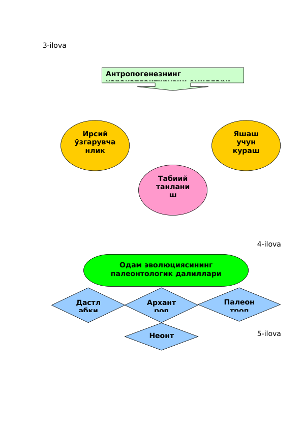3-ilova
4-ilova
5-ilova
Антропогенезнинг 
харакатлантирувчи омиллари
Ирсий
ўзгарувча
нлик
Табиий
танлани
ш
Яшаш
учун
кураш
Одам эволюциясининг
палеонтологик далиллари
Дастл
абки
Архант
роп
Неонт
роп
Палеон
троп
