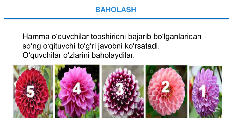 BAHOLASH
Hamma o‘quvchilar topshiriqni bajarib bo‘lganlaridan 
so‘ng o‘qituvchi to‘g‘ri javobni ko‘rsatadi.
O‘quvchilar o‘zlarini baholaydilar.
