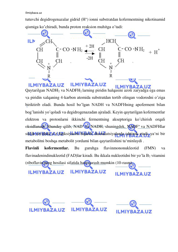 Ilmiybaza.uz 
 
tutuvchi degidrogenazalar gidrid (H+) ionni substratdan kofermentning nikotinamid 
qismiga ko’chiradi, bunda proton reaksion muhitga o’tadi:  
  
 
  
  
Qaytarilgan NADH2 va NADFH2 larning piridin halqasini azoti zaryadga ega emas 
va piridin xalqaning 4-karbon atomida substratdan tortib olingan vodorodni o’ziga 
biriktirib oladi. Bunda hosil bo’lgan NADH va NADFHning apoferment bilan 
bog’lanishi yo’qoladi va degidrogenazadan ajraladi. Keyin qaytarilgan kofermentlar 
elektron va protonlarni ikkinchi fermentning akseptoriga ko’chirish orqali 
oksidlanadi. Shunday qilib, NAD+ va NADH, shuningdek, NADF+ va NADFHlar 
siklik ravishda o’z funksiyasini bajarib, dismutatsiyalarda ishtirok etadi, ya‘ni bir 
metabolitni boshqa metabolit yordami bilan qaytarilishini ta‘minlaydi .  
Flavinli 
kofermentlar. 
Bu 
guruhga 
flavinmononukleotid 
(FMN) 
va 
flavinadenindinukleotid (FAD)lar kiradi. Bu ikkala nukleotidni bir yo’la B2 vitamini 
(riboflavin)ning hosilasi sifatida ham qarash mumkin (10-rasm).   
