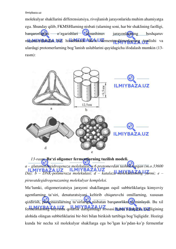 Ilmiybaza.uz 
 
molekulyar shakllarini differensiatsiya, rivojlanish jarayonlarida muhim ahamiyatga 
ega. Shunday qilib, FKMSHlarning nisbati (ularning soni, har bir shaklining faolligi, 
barqarorligi)ni 
o’zgarishlari 
almashinuv 
jarayonlarining 
boshqaruv 
mexanizmlaridan biri hisoblanadi. Ba‘zi fermentmultimerlarning tuzilishi va 
ulardagi protomerlarning bog’lanish uslublarini quyidagicha ifodalash mumkin (13-
rasm):  
  
  
13-rasm. Ba‘zi oligomer fermentlarning tuzilish modeli.  
a – glutamatdegidrogenaza molekulasi, u 6 protomerdan tashkil topgan (m.o.33600 
Da); b ‒ DNK-polimeraza molekulasi; d – katalaza molekulasining yarmi; e – 
piruvatdegidrogenazaning molekulyar kompleksi.  
Ma‘lumki, oligomerizatsiya jarayoni shakllangan oqsil subbirliklariga kimyoviy 
agentlarning ta‘siri, denaturatsiyani keltirib chiqaruvchi omillarning, xususan 
qizdirish, proteinazalarning ta‘sirlariga nisbatan barqarorlikni ta‘minlaydi. Bu xil 
fermentlarning hayratda qolarlik darajasidagi xossasi butun kompleks faolligining 
alohida olingan subbirliklarini bir-biri bilan birikish tartibiga bog’liqligidir. Hozirgi 
kunda bir necha xil molekulyar shakllarga ega bo’lgan ko’pdan-ko’p fermentlar 

