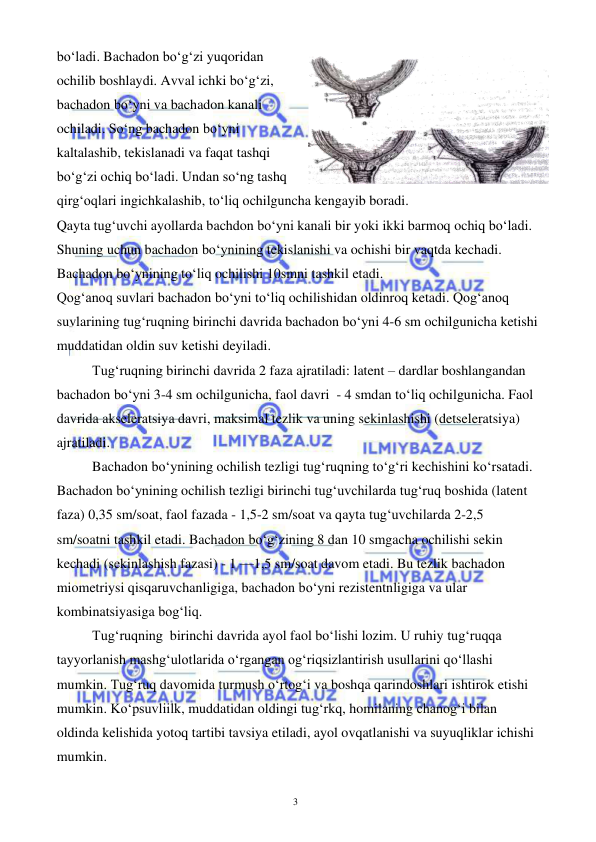  
 
3 
bo‘ladi. Bachadon bo‘g‘zi yuqoridan 
ochilib boshlaydi. Avval ichki bo‘g‘zi, 
bachadon bo‘yni va bachadon kanali 
ochiladi. So‘ng bachadon bo‘yni 
kaltalashib, tekislanadi va faqat tashqi 
bo‘g‘zi ochiq bo‘ladi. Undan so‘ng tashq 
qirg‘oqlari ingichkalashib, to‘liq ochilguncha kengayib boradi.  
Qayta tug‘uvchi ayollarda bachdon bo‘yni kanali bir yoki ikki barmoq ochiq bo‘ladi. 
Shuning uchun bachadon bo‘ynining tekislanishi va ochishi bir vaqtda kechadi. 
Bachadon bo‘ynining to‘liq ochilishi 10smni tashkil etadi.  
Qog‘anoq suvlari bachadon bo‘yni to‘liq ochilishidan oldinroq ketadi. Qog‘anoq 
suvlarining tug‘ruqning birinchi davrida bachadon bo‘yni 4-6 sm ochilgunicha ketishi 
muddatidan oldin suv ketishi deyiladi.  
Tug‘ruqning birinchi davrida 2 faza ajratiladi: latent – dardlar boshlangandan 
bachadon bo‘yni 3-4 sm ochilgunicha, faol davri  - 4 smdan to‘liq ochilgunicha. Faol 
davrida akseleratsiya davri, maksimal tezlik va uning sekinlashishi (detseleratsiya) 
ajratiladi. 
Bachadon bo‘ynining ochilish tezligi tug‘ruqning to‘g‘ri kechishini ko‘rsatadi. 
Bachadon bo‘ynining ochilish tezligi birinchi tug‘uvchilarda tug‘ruq boshida (latent 
faza) 0,35 sm/soat, faol fazada - 1,5-2 sm/soat va qayta tug‘uvchilarda 2-2,5 
sm/soatni tashkil etadi. Bachadon bo‘g‘zining 8 dan 10 smgacha ochilishi sekin 
kechadi (sekinlashish fazasi) - 1 —1,5 sm/soat davom etadi. Bu tezlik bachadon 
miometriysi qisqaruvchanligiga, bachadon bo‘yni rezistentnligiga va ular 
kombinatsiyasiga bog‘liq.                                                                
Tug‘ruqning  birinchi davrida ayol faol bo‘lishi lozim. U ruhiy tug‘ruqqa 
tayyorlanish mashg‘ulotlarida o‘rgangan og‘riqsizlantirish usullarini qo‘llashi 
mumkin. Tug‘ruq davomida turmush o‘rtog‘i va boshqa qarindoshlari ishtirok etishi 
mumkin. Ko‘psuvliilk, muddatidan oldingi tug‘rkq, homilaning chanog‘i bilan 
oldinda kelishida yotoq tartibi tavsiya etiladi, ayol ovqatlanishi va suyuqliklar ichishi 
mumkin.  
 
                          
