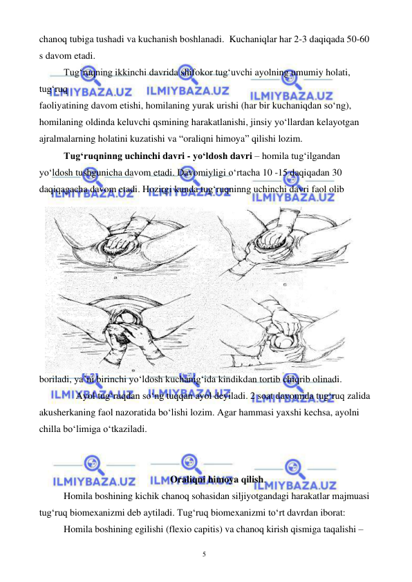  
 
5 
chanoq tubiga tushadi va kuchanish boshlanadi.  Kuchaniqlar har 2-3 daqiqada 50-60 
s davom etadi.  
Tug‘ruqning ikkinchi davrida shifokor tug‘uvchi ayolning umumiy holati, 
tug‘ruq  
faoliyatining davom etishi, homilaning yurak urishi (har bir kuchaniqdan so‘ng), 
homilaning oldinda keluvchi qsmining harakatlanishi, jinsiy yo‘llardan kelayotgan 
ajralmalarning holatini kuzatishi va “oraliqni himoya” qilishi lozim.                  
Tug‘ruqninng uchinchi davri - yo‘ldosh davri – homila tug‘ilgandan 
yo‘ldosh tushgunicha davom etadi. Davomiyligi o‘rtacha 10 -15 daqiqadan 30 
daqiqagacha davom etadi. Hozirgi kunda tug‘ruqninng uchinchi davri faol olib 
boriladi, ya’ni birinchi yo‘ldosh kuchanig‘ida kindikdan tortib chiqrib olinadi.  
     Ayol tug‘ruqdan so‘ng tuqqan ayol deyiladi. 2 soat davomida tug‘ruq zalida 
akusherkaning faol nazoratida bo‘lishi lozim. Agar hammasi yaxshi kechsa, ayolni 
chilla bo‘limiga o‘tkaziladi.  
 
                                                       
Oraliqni himoya qilish. 
Homila boshining kichik chanoq sohasidan siljiyotgandagi harakatlar majmuasi 
tug‘ruq biomexanizmi deb aytiladi. Tug‘ruq biomexanizmi to‘rt davrdan iborat: 
Homila boshining egilishi (flexio capitis) va chanoq kirish qismiga taqalishi – 
