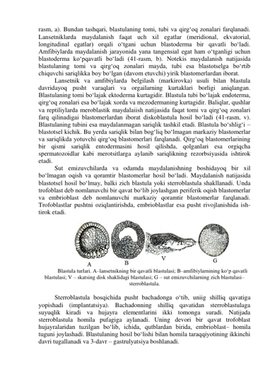 rasm, a). Bundan tashqari, blastulaning tomi, tubi va qirg‘oq zonalari farqlanadi. 
Lansetniklarda maydalanish faqat uch xil egatlar (meridional, ekvatorial, 
longitudinal egatlar) orqali o‘tgani uchun blastoderma bir qavatli bo‘ladi. 
Amfibiylarda maydalanish jarayonida yana tangensial egat ham o‘tganligi uchun 
blastoderma ko‘pqavatli bo‘ladi (41-rasm, b). Notekis maydalanish natijasida 
blastulaning tomi va qirg‘oq zonalari mayda, tubi esa blastotselga bo‘rtib 
chiquvchi sariqlikka boy bo‘lgan (davom etuvchi) yirik blastomerlardan iborat. 
Lansetnik va amfibiylarda belgilash (markirovka) usuli bilan blastula 
davridayoq pusht varaqlari va orgailarning kurtaklari borligi aniqlangan. 
Blastulaning tomi bo‘lajak ektoderma kurtagidir. Blastula tubi bo‘lajak endoterma, 
qirg‘oq zonalari esa bo‘lajak xorda va mezodermaning kurtagidir. Baliqlar, qushlar 
va reptiliylarda meroblastik maydalaiish natijasida faqat tomi va qirg‘oq zonalari 
farq qilinadigai blastomerlardan iborat diskoblastula hosil bo‘ladi (41-rasm, v). 
Blastulaning tubini esa maydalanmagan sariqlik tashkil etadi. Blastula bo‘shlig‘i – 
blastotsel kichik. Bu yerda sariqlik bilan bog‘liq bo‘lmagan markaziy blastomerlar 
va sariqlikda yotuvchi qirg‘oq blastomerlari farqlanadi. Qirg‘oq blastomerlarining 
bir qismi sariqlik entodermasini hosil qilishda, qolganlari esa orgiqcha 
spermatozoidlar kabi merotsitlarga aylanib sariqlikning rezorbsiyasida ishtirok 
etadi. 
Sut emizuvchilarda va odamda maydalanishning boshidayoq bir xil 
bo‘lmagan oqish va qoramtir blastomerlar hosil bo‘ladi. Maydalanish natijasida 
blastotsel hosil bo‘lmay, balki zich blastula yoki sterroblastula shakllanadi. Unda 
trofoblast deb nomlanuvchi bir qavat bo‘lib joylashgan periferik oqish blastomerlar 
va embrioblast deb nomlanuvchi markaziy qoramtir blastomerlar farqlanadi. 
Trofoblastlar pushtni oziqlantirishda, embrioblastlar esa pusht rivojlanishida ish-
tirok etadi. 
 
Blastula turlari. A–lansetnikning bir qavatli blastulasi; B–amfibiylarnining ko‘p qavatli 
blastulasi; V – skatsing disk shaklidagi blastulasi; G – sut emizuvchilarning zich blastulasi– 
sterroblastula. 
 
Sterroblastula bosqichida pusht bachadonga o‘tib, uniig shilliq qavatiga 
yopishadi (implantatsiya). Bachadonning shilliq qavatidan sterroblastulaga 
suyuqlik kiradi va hujayra elementlarini ikki tomonga suradi. Natijada 
sterroblastula homila pufagiga aylanadi. Uning devori bir qavat trofoblast 
hujayralaridan tuzilgan bo‘lib, ichida, qutblardan birida, embrioblast– homila 
tuguni joylashadi. Blastulaning hosil bo‘lishi bilan homila taraqqiyotining ikkinchi 
davri tugallanadi va 3-davr – gastrulyatsiya boshlanadi. 
