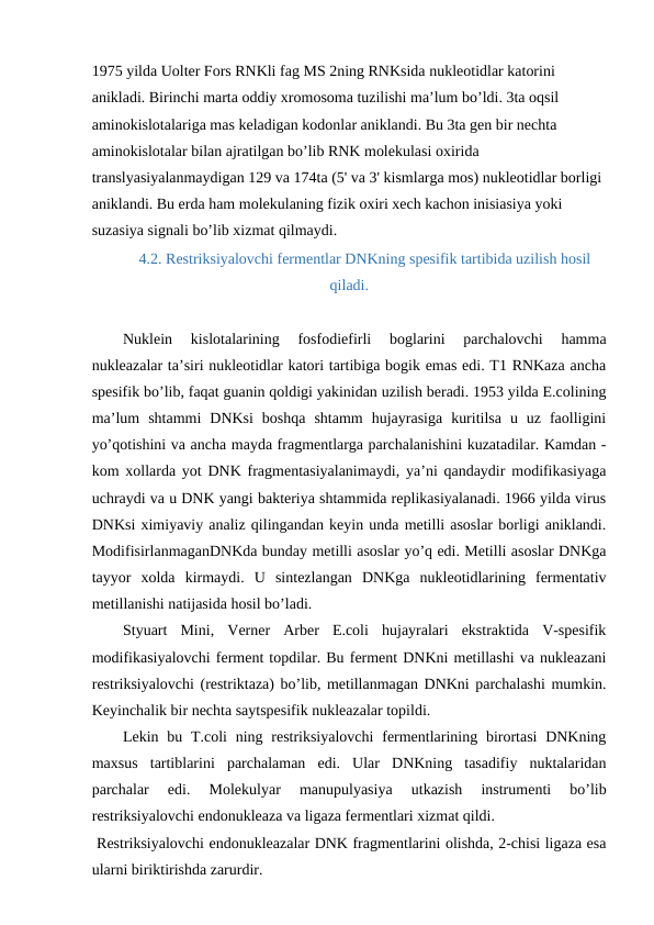 1975 yilda Uolter Fors RNKli fag MS 2ning RNKsida nukleotidlar katorini 
anikladi. Birinchi marta oddiy xromosoma tuzilishi ma’lum bo’ldi. 3ta oqsil 
aminokislotalariga mas keladigan kodonlar aniklandi. Bu 3ta gen bir nechta 
aminokislotalar bilan ajratilgan bo’lib RNK molekulasi oxirida 
translyasiyalanmaydigan 129 va 174ta (5' va 3' kismlarga mos) nukleotidlar borligi 
aniklandi. Bu erda ham molekulaning fizik oxiri xech kachon inisiasiya yoki 
suzasiya signali bo’lib xizmat qilmaydi.
4.2. Restriksiyalovchi fermentlar DNKning spesifik tartibida uzilish hosil
qiladi.
Nuklein  kislotalarining  fosfodiefirli  boglarini  parchalovchi  hamma
nukleazalar ta’siri nukleotidlar katori tartibiga bogik emas edi. T1 RNKaza ancha
spesifik bo’lib, faqat guanin qoldigi yakinidan uzilish beradi. 1953 yilda E.colining
ma’lum  shtammi  DNKsi  boshqa  shtamm  hujayrasiga  kuritilsa  u  uz  faolligini
yo’qotishini va ancha mayda fragmentlarga parchalanishini kuzatadilar. Kamdan -
kom xollarda yot DNK fragmentasiyalanimaydi, ya’ni qandaydir modifikasiyaga
uchraydi va u DNK yangi bakteriya shtammida replikasiyalanadi. 1966 yilda virus
DNKsi ximiyaviy analiz qilingandan keyin unda metilli asoslar borligi aniklandi.
ModifisirlanmaganDNKda bunday metilli asoslar yo’q edi. Metilli asoslar DNKga
tayyor  xolda  kirmaydi.  U  sintezlangan  DNKga  nukleotidlarining  fermentativ
metillanishi natijasida hosil bo’ladi.
Styuart  Mini,  Verner  Arber  E.coli  hujayralari  ekstraktida  V-spesifik
modifikasiyalovchi ferment topdilar. Bu ferment DNKni metillashi va nukleazani
restriksiyalovchi (restriktaza) bo’lib, metillanmagan DNKni parchalashi mumkin.
Keyinchalik bir nechta saytspesifik nukleazalar topildi.
Lekin bu T.coli  ning restriksiyalovchi  fermentlarining birortasi  DNKning
maxsus  tartiblarini  parchalaman  edi.  Ular  DNKning  tasadifiy  nuktalaridan
parchalar  edi.  Molekulyar  manupulyasiya  utkazish  instrumenti  bo’lib
restriksiyalovchi endonukleaza va ligaza fermentlari xizmat qildi.
 Restriksiyalovchi endonukleazalar DNK fragmentlarini olishda, 2-chisi ligaza esa
ularni biriktirishda zarurdir.
