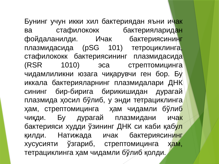 Бунинг учун икки хил бактериядан яъни ичак 
ва 
стафилококк 
бактерияларидан 
фойдаланилди. 
Ичак 
бактериясининг 
плазмидасида 
(pSG 
101) 
тетроциклинга, 
стафилококк бактериясининг плазмидасида 
(RSR 
1010) 
эса 
стрептомицинга 
чидамлиликни юзага чиқарувчи ген бор. Бу 
иккала бактерияларнинг плазмидалари ДНК 
сининг 
бир-бирига 
бирикишидан 
дурагай 
плазмида ҳосил бўлиб, у энди тетрациклинга 
ҳам, стрептомицинга  ҳам чидамли бўлиб 
чиқди. 
Бу 
дурагай 
плазмидани 
ичак 
бактерияси худди ўзининг ДНК си каби қабул 
қилди. 
Натижада 
ичак 
бактериясининг 
хусусияти 
ўзгариб, 
стрептомицинга 
ҳам, 
тетрациклинга ҳам чидамли бўлиб қолди. 
