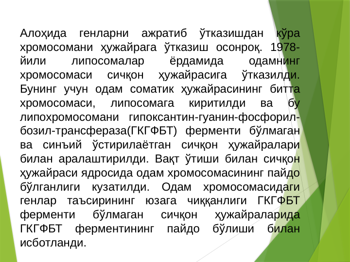 Алоҳида 
генларни 
ажратиб 
ўтказишдан 
кўра 
хромосомани ҳужайрага ўтказиш осонроқ. 1978-
йили 
липосомалар 
ёрдамида 
одамнинг 
хромосомаси 
сичқон 
ҳужайрасига 
ўтказилди. 
Бунинг учун одам соматик ҳужайрасининг битта 
хромосомаси, 
липосомага 
киритилди 
ва 
бу 
липохромосомани гипоксантин-гуанин-фосфорил-
бозил-трансфераза(ГКГФБТ) ферменти бўлмаган 
ва синъий ўстирилаётган сичқон ҳужайралари 
билан аралаштирилди. Вақт ўтиши билан сичқон 
ҳужайраси ядросида одам хромосомасининг пайдо 
бўлганлиги кузатилди. Одам хромосомасидаги 
генлар таъсирининг юзага чиққанлиги ГКГФБТ 
ферменти 
бўлмаган 
сичқон 
ҳужайраларида 
ГКГФБТ 
ферментининг 
пайдо 
бўлиши 
билан 
исботланди. 
