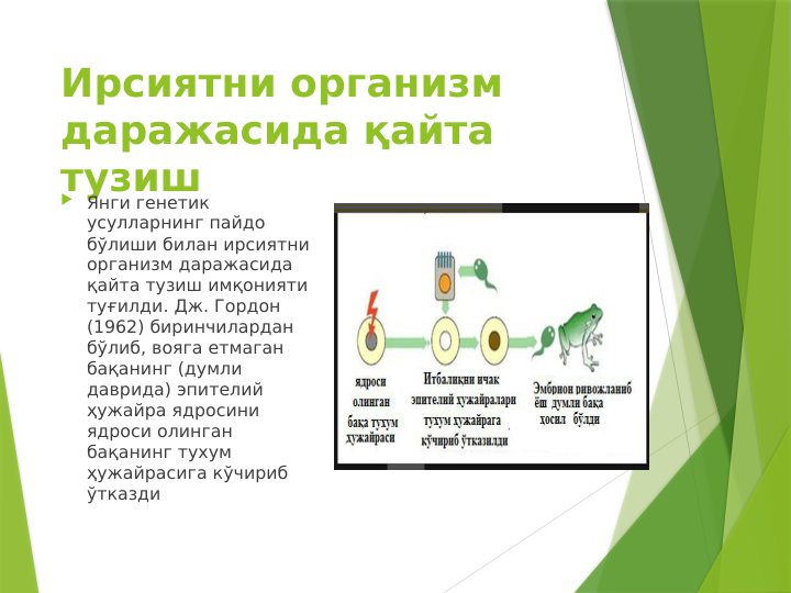 Ирсиятни организм 
даражасида қайта 
тузиш 
 Янги генетик 
усулларнинг пайдо 
бўлиши билан ирсиятни 
организм даражасида 
қайта тузиш имқонияти 
туғилди. Дж. Гордон 
(1962) биринчилардан 
бўлиб, вояга етмаган 
бақанинг (думли 
даврида) эпителий 
ҳужайра ядросини 
ядроси олинган 
бақанинг тухум 
ҳужайрасига кўчириб 
ўтказди
