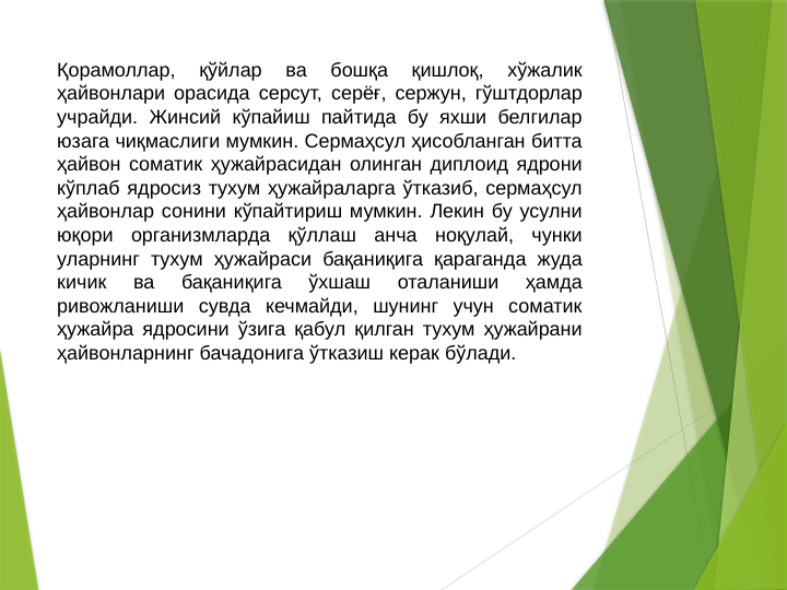 Қорамоллар, 
қўйлар 
ва 
бошқа 
қишлоқ, 
хўжалик 
ҳайвонлари орасида серсут, серёғ, сержун, гўштдорлар 
учрайди. Жинсий кўпайиш пайтида бу яхши белгилар 
юзага чиқмаслиги мумкин. Сермаҳсул ҳисобланган битта 
ҳайвон соматик ҳужайрасидан олинган диплоид ядрони 
кўплаб ядросиз тухум ҳужайраларга ўтказиб, сермаҳсул 
ҳайвонлар сонини кўпайтириш мумкин. Лекин бу усулни 
юқори организмларда қўллаш анча ноқулай, чунки 
уларнинг тухум ҳужайраси бақаниқига қараганда жуда 
кичик 
ва 
бақаниқига 
ўхшаш 
оталаниши 
ҳамда 
ривожланиши сувда кечмайди, шунинг учун соматик 
ҳужайра ядросини ўзига қабул қилган тухум ҳужайрани 
ҳайвонларнинг бачадонига ўтказиш керак бўлади. 
