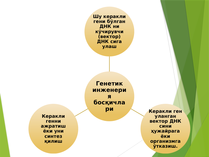 Генетик 
инженери
я 
босқичла
ри
Шу керакли 
гени бўлган 
ДНК ни 
кўчирувчи 
(вектор) 
ДНК сига 
улаш
Керакли ген 
уланган 
вектор ДНК 
сини 
ҳужайрага 
ёки 
организмга 
ўтказиш.
Керакли 
генни 
ажратиш 
ёки уни 
синтез 
қилиш
