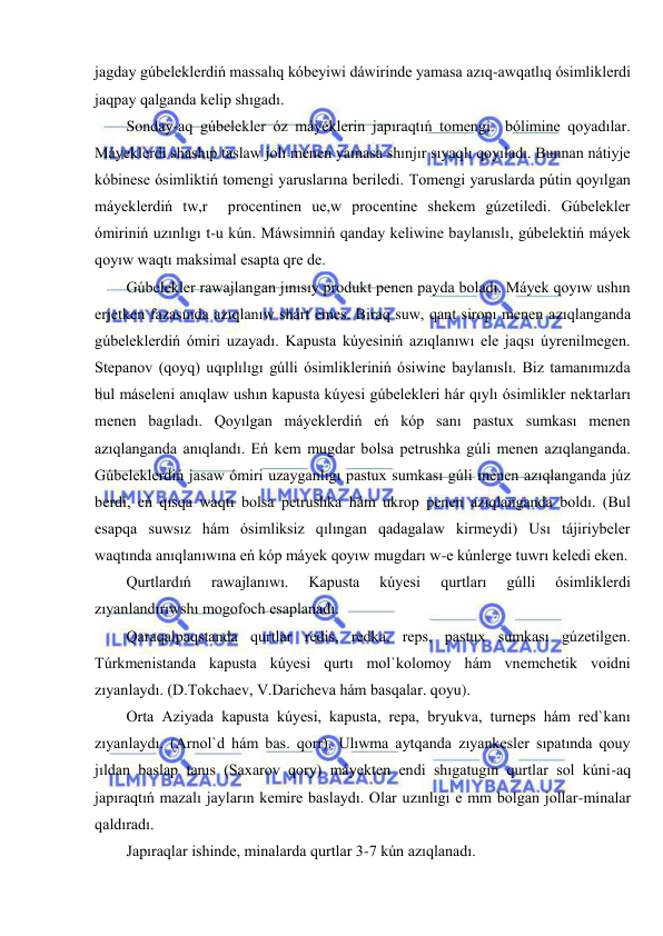  
 
jagday gúbeleklerdiń massalıq kóbeyiwi dáwirinde yamasa azıq-awqatlıq ósimliklerdi 
jaqpay qalganda kelip shıgadı. 
Sonday-aq gúbelekler óz máyeklerin japıraqtıń tomengi  bólimine qoyadılar. 
Máyeklerdi shashıp taslaw jolı menen yamasa shınjır sıyaqlı qoyıladı. Bunnan nátiyje 
kóbinese ósimliktiń tomengi yaruslarına beriledi. Tomengi yaruslarda pútin qoyılgan 
máyeklerdiń tw,r  procentinen ue,w procentine shekem gúzetiledi. Gúbelekler 
ómiriniń uzınlıgı t-u kún. Máwsimniń qanday keliwine baylanıslı, gúbelektiń máyek 
qoyıw waqtı maksimal esapta qre de.  
Gúbelekler rawajlangan jınısıy produkt penen payda boladı. Máyek qoyıw ushın 
erjetken fazasında azıqlanıw shárt emes. Biraq suw, qant siropı menen azıqlanganda 
gúbeleklerdiń ómiri uzayadı. Kapusta kúyesiniń azıqlanıwı ele jaqsı úyrenilmegen. 
Stepanov (qoyq) uqıplılıgı gúlli ósimlikleriniń ósiwine baylanıslı. Biz tamanımızda 
bul máseleni anıqlaw ushın kapusta kúyesi gúbelekleri hár qıylı ósimlikler nektarları 
menen bagıladı. Qoyılgan máyeklerdiń eń kóp sanı pastux sumkası menen 
azıqlanganda anıqlandı. Eń kem mugdar bolsa petrushka gúli menen azıqlanganda. 
Gúbeleklerdiń jasaw ómiri uzayganlıgı pastux sumkası gúli menen azıqlanganda júz 
berdi, eń qısqa waqtı bolsa petrushka hám ukrop penen azıqlanganda boldı. (Bul 
esapqa suwsız hám ósimliksiz qılıngan qadagalaw kirmeydi) Usı tájiriybeler 
waqtında anıqlanıwına eń kóp máyek qoyıw mugdarı w-e kúnlerge tuwrı keledi eken. 
Qurtlardıń 
rawajlanıwı. 
Kapusta 
kúyesi 
qurtları 
gúlli 
ósimliklerdi 
zıyanlandırıwshı mogofoch esaplanadı. 
Qaraqalpaqstanda qurtlar redis, redka, reps, pastux sumkası gúzetilgen. 
Túrkmenistanda kapusta kúyesi qurtı mol`kolomoy hám vnemchetik voidni 
zıyanlaydı. (D.Tokchaev, V.Daricheva hám basqalar. qoyu). 
Orta Aziyada kapusta kúyesi, kapusta, repa, bryukva, turneps hám red`kanı 
zıyanlaydı. (Arnol`d hám bas. qorr). Ulıwma aytqanda zıyankesler sıpatında qouy 
jıldan baslap tanıs (Saxarov qory) máyekten endi shıgatugın qurtlar sol kúni-aq 
japıraqtıń mazalı jayların kemire baslaydı. Olar uzınlıgı e mm bolgan jollar-minalar 
qaldıradı. 
Japıraqlar ishinde, minalarda qurtlar 3-7 kún azıqlanadı. 
