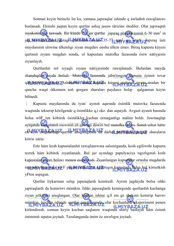  
 
Sonnan keyin birinchi lin`ka, yamasa japıraqlar ishinde q áwladtıń rawajlanıwı 
baslanadı. Ekinshi jaqtan keyin qurtlar ashıq jasaw tárizine ótediler. Olar japıraqtıń 
myakotini jep tawsadı. Bir kúnde 7-8 jas qurtlar  japıraq plastinkasınıń 6-30 mm2 ın 
jep tawsadı.Úlken jastagı qurtlardıń zıyanı 35-77 mm2 qa jetedi. Japıraq ústi 
maydanınıń ulıwma úlkenligi zıyan mugdarı onsha úlken emes. Biraq kapusta kúyesi 
qurtınıń zıyanı mugdarı sonda, ol kapustanı mutofka fazasında ósiw nátiyjesin 
zıyanlaydı. 
Qurtlardıń sol sıyaqlı zıyanı nátiyjesinde rawajlanadı. Bulardan mayda 
shanshqılar payda boladı. Mutovka fazasında jábirlengen kapusta óziniń tovar 
qábiliyetin jogaltadı. Ashınarlısı sonda kapusta kúyesi qurtınıń zıyanı aradan bir 
qancha waqıt ótkennen soń qorgaw sharaları paydasız bolıp  qalgannan keyin 
bilinedi. 
Kapusta maydanında da iyun` ayınıń aqırında ósimlik mutovka fazasında 
waqtında tekserip kórilgende q ósimlikke q,i ekz. dan aspaydı. Avgust ayınıń basında 
bolsa w0F ten kóbirek ósimlikler kachan ormaganlıgı málim boldı. Juwmaqlap 
aytqanda kapustanıń osiwiniń eń qáwipli dáwiri bul mutofka fazası. Sonıń ushın hátte 
eń kem mugdardagı qurtlar anıqlanganda da dárhal profilaktik-qorgaw sharaların 
kóriw zárúr. 
Erte hám kesh kapustalardıń rawajlanıwına salıstırganda, kesh egiliwshi kapusta 
tezrek hám kóbirek zıyanlanadı. Bul jaz ayındagı papulyaciya tıgızlıgınıń kesh 
kapustalar joqarı bolıwı menen esaplanadı. Zıyanlangan kapustalar ortasha mugdarda 
mutovka fazasında wr F payda etedi. Erte egiletugın kapustada bolsa bul kórsetkish 
yFten aspagan. 
Qurtlar tiykarınan sırtqı japıraqlardı kemiredi. Ayrım jagdayda bolsa ishki 
japıraqlardı da kemiriwi múmkin. İshki japıraqlardı kemirgende qurtlardıń kachanga 
zıyan jetkiziwi anıqlangan. Olar kochan ishine q,0 sm ge shekem kemirip barıwı 
múmkin, kochan ishinde qurtlar azıqlanganda, olar kochanlardı eksperiment penen 
kirlendiredi, sonnan keyin kochan saqlanıw waqtında shiriy baslaydı hám óziniń 
óniminiń sıpatın joytadı. Tazalanganda ónim óz awırlıgın joytadı. 
