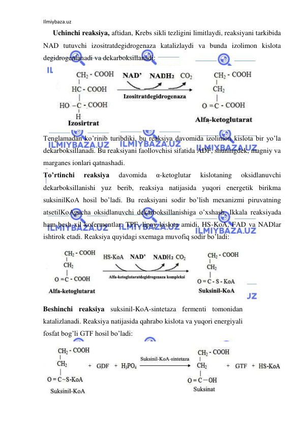 Ilmiybaza.uz 
 
Uchinchi reaksiya, aftidan, Krebs sikli tezligini limitlaydi, reaksiyani tarkibida 
NAD tutuvchi izositratdegidrogenaza katalizlaydi va bunda izolimon kislota 
degidrogenlanadi va dekarboksillanadi:  
  
Tenglamadan ko’rinib turibdiki, bu reaksiya davomida izolimon kislota bir yo’la 
dekarboksillanadi. Bu reaksiyani faollovchisi sifatida ADF, shuningdek, magniy va 
marganes ionlari qatnashadi.    
To’rtinchi 
reaksiya 
davomida 
α-ketoglutar 
kislotaning 
oksidlanuvchi 
dekarboksillanishi yuz berib, reaksiya natijasida yuqori energetik birikma 
suksinilKoA hosil bo’ladi. Bu reaksiyani sodir bo’lish mexanizmi piruvatning 
atsetilKoAgacha oksidlanuvchi dekarboksillanishiga o’xshash. Ikkala reaksiyada 
ham besh xil kofermentlar: TPF, lipoy kislota amidi, HS-KoA, FAD va NADlar 
ishtirok etadi. Reaksiya quyidagi sxemaga muvofiq sodir bo’ladi:  
  
Beshinchi reaksiya suksinil-KoA-sintetaza fermenti tomonidan 
katalizlanadi. Reaksiya natijasida qahrabo kislota va yuqori energiyali 
fosfat bog’li GTF hosil bo’ladi:   
  
