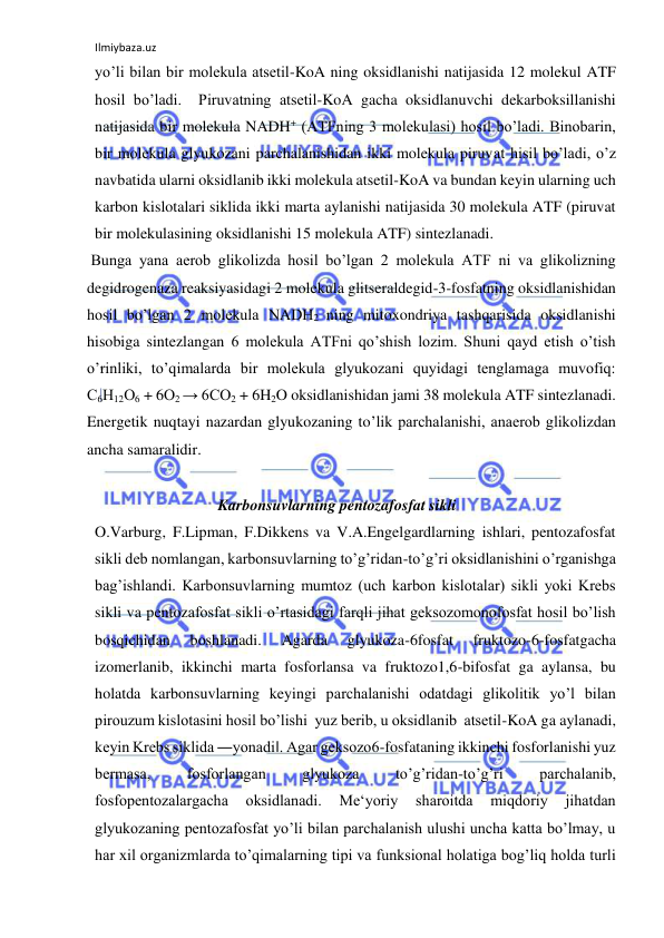 Ilmiybaza.uz 
 
yo’li bilan bir molekula atsetil-KoA ning oksidlanishi natijasida 12 molekul ATF 
hosil bo’ladi.  Piruvatning atsetil-KoA gacha oksidlanuvchi dekarboksillanishi 
natijasida bir molekula NADH+ (ATFning 3 molekulasi) hosil bo’ladi. Binobarin, 
bir molekula glyukozani parchalanishidan ikki molekula piruvat hisil bo’ladi, o’z 
navbatida ularni oksidlanib ikki molekula atsetil-KoA va bundan keyin ularning uch 
karbon kislotalari siklida ikki marta aylanishi natijasida 30 molekula ATF (piruvat 
bir molekulasining oksidlanishi 15 molekula ATF) sintezlanadi.    
 Bunga yana aerob glikolizda hosil bo’lgan 2 molekula ATF ni va glikolizning 
degidrogenaza reaksiyasidagi 2 molekula glitseraldegid-3-fosfatning oksidlanishidan 
hosil bo’lgan 2 molekula NADH2 ning mitoxondriya tashqarisida oksidlanishi 
hisobiga sintezlangan 6 molekula ATFni qo’shish lozim. Shuni qayd etish o’tish 
o’rinliki, to’qimalarda bir molekula glyukozani quyidagi tenglamaga muvofiq: 
С6Н12О6 + 6О2 → 6CO2 + 6H2O oksidlanishidan jami 38 molekula ATF sintezlanadi. 
Energetik nuqtayi nazardan glyukozaning to’lik parchalanishi, anaerob glikolizdan 
ancha samaralidir.  
  
                          Karbonsuvlarning pentozafosfat sikli  
O.Varburg, F.Lipman, F.Dikkens va V.A.Engelgardlarning ishlari, pentozafosfat 
sikli deb nomlangan, karbonsuvlarning to’g’ridan-to’g’ri oksidlanishini o’rganishga 
bag’ishlandi. Karbonsuvlarning mumtoz (uch karbon kislotalar) sikli yoki Krebs 
sikli va pentozafosfat sikli o’rtasidagi farqli jihat geksozomonofosfat hosil bo’lish 
bosqichidan 
boshlanadi. 
Agarda 
glyukoza-6fosfat 
fruktozo-6-fosfatgacha 
izomerlanib, ikkinchi marta fosforlansa va fruktozo1,6-bifosfat ga aylansa, bu 
holatda karbonsuvlarning keyingi parchalanishi odatdagi glikolitik yo’l bilan 
pirouzum kislotasini hosil bo’lishi  yuz berib, u oksidlanib  atsetil-KoA ga aylanadi, 
keyin Krebs siklida ―yonadi‖. Agar geksozo6-fosfataning ikkinchi fosforlanishi yuz 
bermasa, 
fosforlangan 
glyukoza 
to’g’ridan-to’g’ri 
parchalanib, 
fosfopentozalargacha 
oksidlanadi. 
Me‘yoriy 
sharoitda 
miqdoriy 
jihatdan 
glyukozaning pentozafosfat yo’li bilan parchalanish ulushi uncha katta bo’lmay, u 
har xil organizmlarda to’qimalarning tipi va funksional holatiga bog’liq holda turli 
