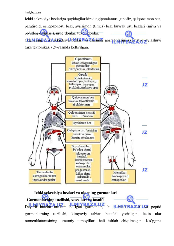 Ilmiybaza.uz 
 
Ichki sekretsiya bezlariga quyidagilar kiradi: gipotalamus, gipofiz, qalqonsimon bez, 
paratiroid, oshqozonosti bezi, ayrisimon (timus) bez, buyrak usti bezlari (miya va 
po’stloq qismlari), urug’donlar, tuxumdonlar.  
Odamning ichki sekretsiya bezlari va ularning gormonlarini sxematik joylashuvi 
(arxitektonikasi) 24-rasmda keltirilgan.  
  
 Ichki sekretsiya bezlari va ularning gormonlari  
  Gormonlarning tuzilishi, xossalari va tasnifi  
Deyarli barcha ma‘lum bo’lgan gormonlar, shu jumladan, oqsil va peptid 
gormonlarning tuzilishi, kimyoviy tabiati batafsil yoritilgan, lekin ular 
nomenklaturasining umumiy tamoyillari hali ishlab chiqilmagan. Ko’pgina 
