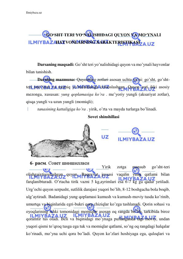 Ilmiybaza.uz 
 
 
 
GO‘SHT TERI YO‘NALISHIDAGI QUYON VA MO‘YNALI 
HAYVONLARNING XARAKTERISTIKASI 
 
 
Darsaning maqsadi: Go’sht teri yo’nalishidagi quyon va mo’ynali hayvonlar 
bilan tanishish. 
Darsning mazmuna: Quyonning zotlari asosan uchta ya’ni: go’sht, go’sht-
teri (mo’yna) va momiq yo’nalishlariga ixtisoslashgan. Quyon zoti ikki asosiy 
mezonga, xususan: yung qoplamasiga ko’ra . me’yoriy yungli (aksariyat zotlar), 
qisqa yungli va uzun yungli (momiqli); 
tanasining kattaligiga ko’ra . yirik, o’rta va mayda turlarga bo’linadi. 
Sovet shinshillasi 
Yirik 
zotga 
mansub 
go’sht-teri 
olishgaixtisoslashgan quyon. Baquvvat jussasi vaqalin yung qatlami bilan 
farqlanibturadi. O’rtacha tirik vazni 5 kg,ayrimlari esa 6-7 kg ga qadar yetiladi. 
Urg’ochi quyon serpusht, sutlilik darajasi yuqori bo’lib, 8-12 boshgacha bola boqib, 
ulg’aytiradi. Badanidagi yung qoplamasi kumush va kumush-moviy tusda ko’rinib, 
umurtqa va biqinlarida egri-bukri qora chiziqlar ko’zga tashlanadi. Qorin sohasi va 
oyoqlarining ichki tomonidagi momiqlar asosan oq rangda bo’lib, tarkibida biroz 
qoramtir tus oladi. Beli va biqinidagi mo’ynaga puflanganda tagi moviy, undan 
yuqori qismi to’qroq tusga ega tuk va momiqlar qatlami, so’ng oq rangdagi halqalar 
ko’rinadi, mo’yna uchi qora bo’ladi. Quyon ko’zlari hoshiyaga ega, quloqlari va 
