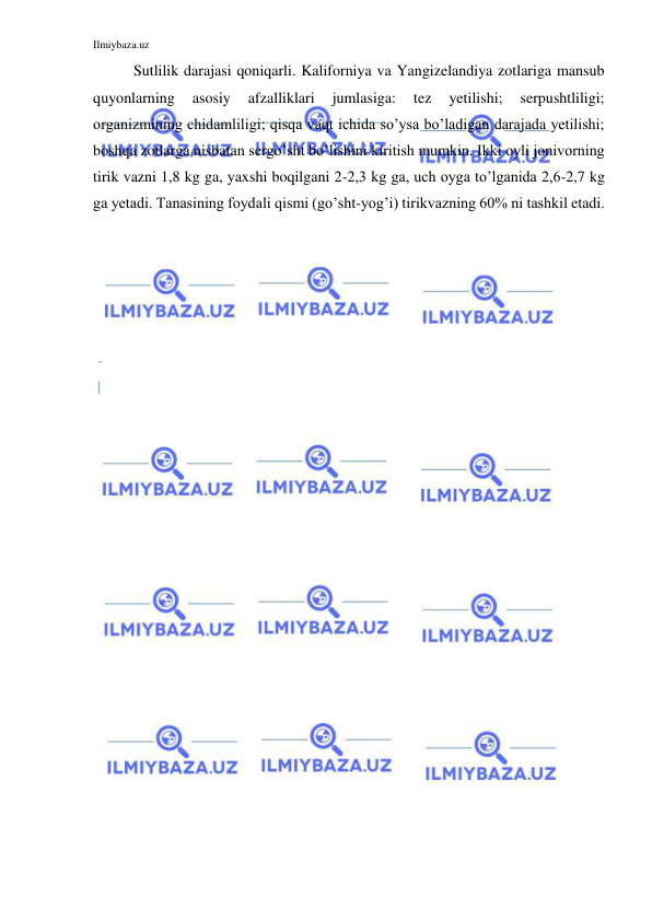 Ilmiybaza.uz 
 
Sutlilik darajasi qoniqarli. Kaliforniya va Yangizelandiya zotlariga mansub 
quyonlarning 
asosiy 
afzalliklari 
jumlasiga: 
tez 
yetilishi; 
serpushtliligi; 
organizmining chidamliligi; qisqa vaqt ichida so’ysa bo’ladigan darajada yetilishi; 
boshqa zotlarga nisbatan sergo’sht bo’lishini kiritish mumkin. Ikki oyli jonivorning 
tirik vazni 1,8 kg ga, yaxshi boqilgani 2-2,3 kg ga, uch oyga to’lganida 2,6-2,7 kg 
ga yetadi. Tanasining foydali qismi (go’sht-yog’i) tirikvazning 60% ni tashkil etadi. 
 
