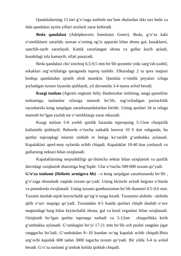 Qandalalarning 13 turi g‘o‘zaga tushishi ma’lum shulardan ikki turi beda va
dala qandalasi ayrim yillari sezilarli zarar keltiradi.
Beda  qandalasi (Adelphocoris  lineolotus  Goere).  Beda,  g‘o‘za  kabi
o‘simliklarni zararlab, asosan o‘zining og‘iz apparati bilan shona gul, kusaklarni,
sanchib-surib  zararlaydi.  Kattik  zararlangan  shona  va  gullar  kurib  qoladi,
kusakdagi tola kamayib, sifati pasayadi.
Beda qandalasi cho‘zinchoq 6,5-9,5 mm bo‘lib qoramtir yoki sarg‘ish-yashil,
erkaklari urg‘ochilariga qaraganda tuproq tuslidir. Elkasidagi 2 ta qora nuqtasi
boshqa  qandaladan  ajratib  olish  mumkin.  Qandala  o‘simlik  poyalari  ichiga
joylashgan tuxum fazasida qishlaydi, yil davomida 3-4 marta avlod beradi.
Kuzgi tunlam (Agrotis segitum Seh). Hashoratlar sinfining, tanga qanotlilar
turkumiga,  tunlamlar  oilasiga  mansub  bo‘lib,  sug‘oriladigan  paxtachilik
rayonlarida keng tarqalgan zararkunandalardan biridir. Uning qurtlari 34 ta oilaga
mansub bo‘lgan yuzlab tur o‘simliklarga zarar etkazadi.
Kuzgi  tunlam  5-6  yoshli  qurtlik  fazasida  tuproqning  5-15sm  chuqurlik
katlamida qishlaydi. Bahorda o‘rtacha sutkalik harorat 10 S dan oshganda, bu
qurtlar  tuproqdagi  inlarini  tashlab  er  betiga  ko‘tarilib  g‘umbakka  aylanadi.
Kapalaklari aprel-may oylarida uchib chiqadi. Kapalaklar 10-40 kun yashaydi va
gullarning nektari bilan oziqlanadi.
Kapalaklarning serpushtliligi qo‘shimcha nektar bilan oziqlanish va qurtlik
davridagi oziqlanish sharoitiga bog‘liqdir. Ular o‘rtacha 500-600 tuxum qo‘yadi.
G‘o‘za tunlami (Heliotis armigera hb) - u keng tarqalgan zararkunanda bo‘lib ,
g‘o‘zaga shonalash vaqtida tuxum qo‘yadi. Uning birinchi avlodi begona o‘tlarda
va pomidorda rivojlanadi. Uning tuxumi gumbazsimon bo‘lib diametri 0.5-0.6 mm.
Tuxumi dastlab oqish keyinchalik qo‘ng‘ir tusga kiradi. Tuxumini alohida - alohida
qilib o‘suv nuqsiga qo‘yadi. Tuxumdan 4-5 kunda qurtlari chiqib dastlab o‘suv
nuqtasidagi barg bilan keyinchalik shona, gul va hosil organlari bilan oziqlanadi.
Oziqlanib  bo‘lgan  qurtlar  tuproqqa  tushadi  va  5-12sm   chuqurlikka  kirib
g‘umbakka aylanadi. G‘umbagini bo‘yi 17-21 mm bo‘lib och pushti rangdan jigar
ranggacha bo‘ladi. G‘umbakdan 8--10 kundan so‘ng kapalak uchib chiqadi.Bitta
urg‘ochi kapalak 600 tadan 3000 tagacha tuxum qo‘yadi. Bir yilda 3-4 ta avlod
beradi. G‘o‘za tunlami g‘umbak holida qishlab chiqadi. 
