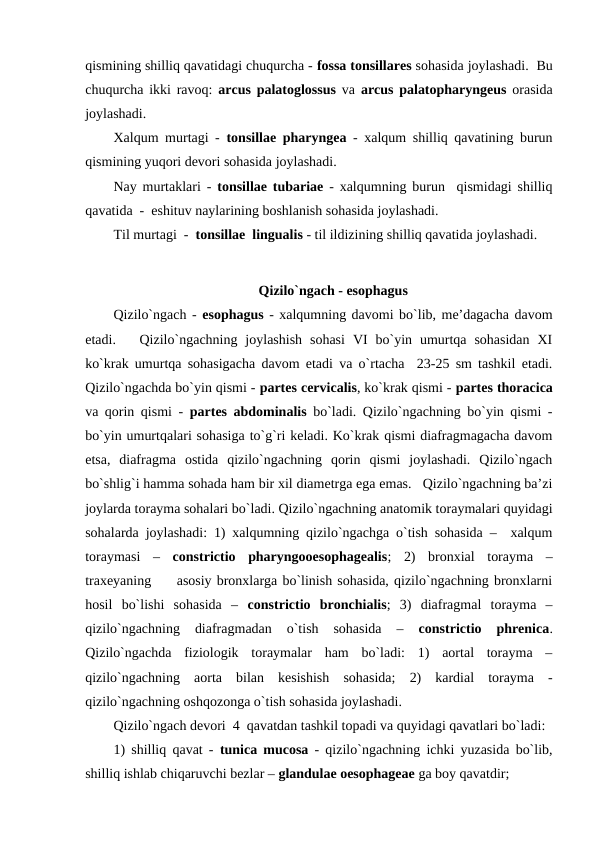 qismining shilliq qavatidagi chuqurcha - fossa tonsillares sohasida joylashadi.  Bu
chuqurcha ikki ravoq:  arcus palatoglossus va  arcus palatopharyngeus orasida
joylashadi. 
Xalqum murtagi -  tonsillae pharyngea - xalqum shilliq qavatining burun
qismining yuqori devori sohasida joylashadi. 
Nay murtaklari -  tonsillae tubariae - xalqumning burun  qismidagi shilliq
qavatida  -  eshituv naylarining boshlanish sohasida joylashadi. 
Til murtagi  -  tonsillae  lingualis - til ildizining shilliq qavatida joylashadi. 
    
Qizilo`ngach - esophagus
Qizilo`ngach - esophagus - xalqumning davomi bo`lib, me’dagacha davom
etadi.    Qizilo`ngachning  joylashish  sohasi  VI  bo`yin  umurtqa  sohasidan  XI
ko`krak umurtqa sohasigacha davom etadi va o`rtacha  23-25 sm tashkil etadi.
Qizilo`ngachda bo`yin qismi - partes cervicalis, ko`krak qismi - partes thoracica
va qorin qismi -  partes abdominalis bo`ladi. Qizilo`ngachning bo`yin qismi -
bo`yin umurtqalari sohasiga to`g`ri keladi. Ko`krak qismi diafragmagacha davom
etsa,  diafragma  ostida  qizilo`ngachning  qorin  qismi  joylashadi.  Qizilo`ngach
bo`shlig`i hamma sohada ham bir xil diametrga ega emas.   Qizilo`ngachning ba’zi
joylarda torayma sohalari bo`ladi. Qizilo`ngachning anatomik toraymalari quyidagi
sohalarda joylashadi: 1) xalqumning qizilo`ngachga o`tish sohasida –  xalqum
toraymasi  –  constrictio  pharyngooesophagealis;  2)  bronxial  torayma  –
traxeyaning     asosiy bronxlarga bo`linish sohasida, qizilo`ngachning bronxlarni
hosil  bo`lishi  sohasida  –  constrictio  bronchialis;  3)  diafragmal  torayma  –
qizilo`ngachning  diafragmadan  o`tish  sohasida  –
 constrictio  phrenica.
Qizilo`ngachda  fiziologik  toraymalar  ham  bo`ladi:  1)  aortal  torayma  –
qizilo`ngachning  aorta  bilan  kesishish  sohasida;  2)  kardial  torayma  -
qizilo`ngachning oshqozonga o`tish sohasida joylashadi. 
Qizilo`ngach devori  4  qavatdan tashkil topadi va quyidagi qavatlari bo`ladi: 
1) shilliq qavat -  tunica mucosa - qizilo`ngachning ichki yuzasida bo`lib,
shilliq ishlab chiqaruvchi bezlar – glandulae oesophageae ga boy qavatdir; 
