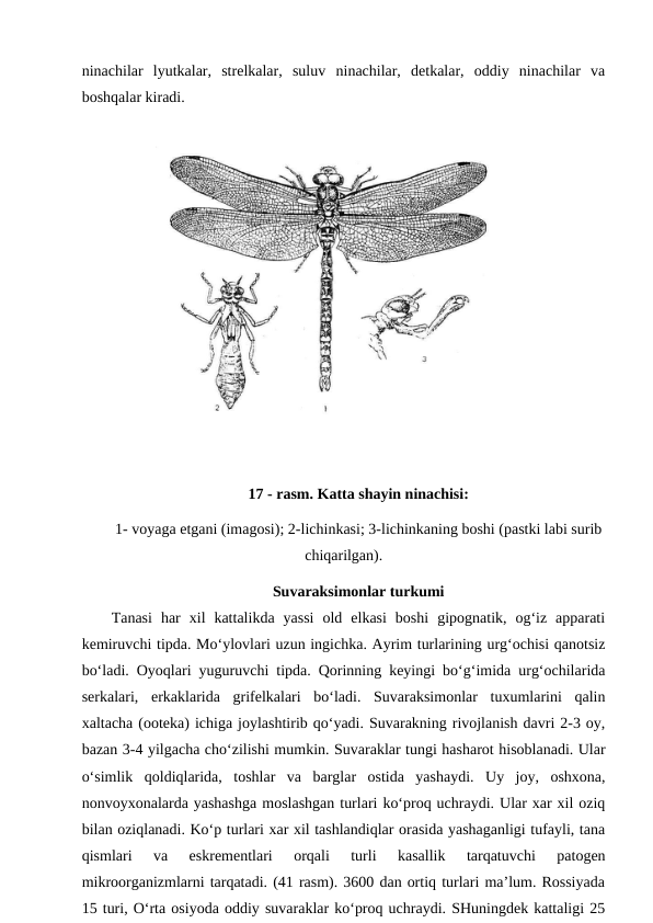 ninachilar  lyutkalar,  strelkalar,  suluv  ninachilar,  detkalar,  oddiy  ninachilar  va
boshqalar kiradi. 
17 - rasm. Katta shayin ninachisi:
1- voyaga etgani (imagosi); 2-lichinkasi; 3-lichinkaning boshi (pastki labi surib
chiqarilgan).
Suvaraksimonlar turkumi
Tanasi  har  xil  kattalikda  yassi  old  elkasi  boshi  gipognatik,  og‘iz  apparati
kemiruvchi tipda. Mo‘ylovlari uzun ingichka. Ayrim turlarining urg‘ochisi qanotsiz
bo‘ladi. Oyoqlari yuguruvchi tipda. Qorinning keyingi bo‘g‘imida urg‘ochilarida
serkalari,  erkaklarida  grifelkalari  bo‘ladi.  Suvaraksimonlar  tuxumlarini  qalin
xaltacha (ooteka) ichiga joylashtirib qo‘yadi. Suvarakning rivojlanish davri 2-3 oy,
bazan 3-4 yilgacha cho‘zilishi mumkin. Suvaraklar tungi hasharot hisoblanadi. Ular
o‘simlik  qoldiqlarida,  toshlar  va  barglar  ostida  yashaydi.  Uy  joy,  oshxona,
nonvoyxonalarda yashashga moslashgan turlari ko‘proq uchraydi. Ular xar xil oziq
bilan oziqlanadi. Ko‘p turlari xar xil tashlandiqlar orasida yashaganligi tufayli, tana
qismlari  va  eskrementlari  orqali  turli  kasallik  tarqatuvchi  patogen
mikroorganizmlarni tarqatadi. (41 rasm). 3600 dan ortiq turlari ma’lum. Rossiyada
15 turi, O‘rta osiyoda oddiy suvaraklar ko‘proq uchraydi. SHuningdek kattaligi 25
