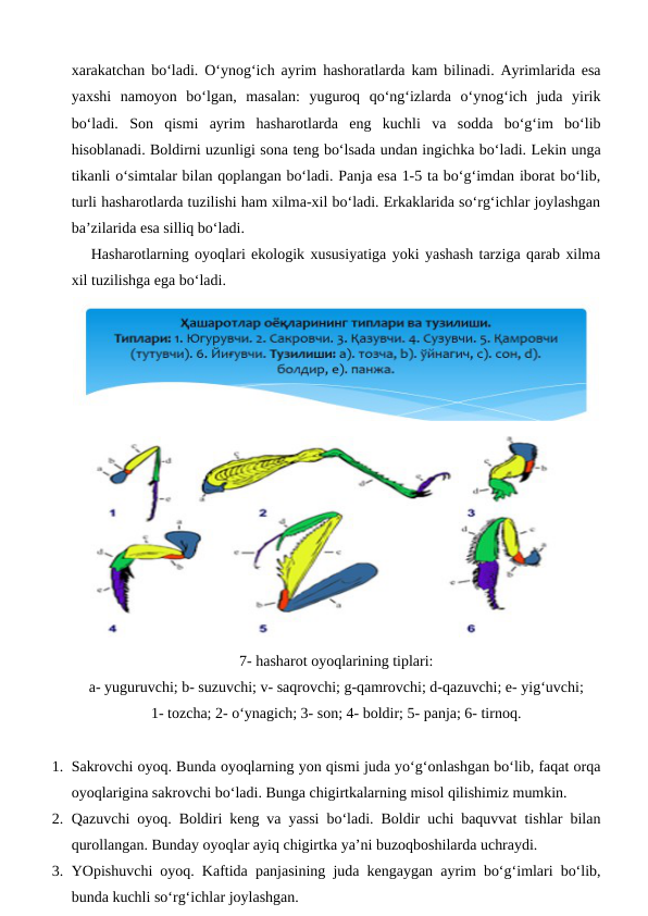 xarakatchan bo‘ladi. O‘ynog‘ich ayrim hashoratlarda kam bilinadi. Ayrimlarida esa
yaxshi  namoyon  bo‘lgan,  masalan:  yuguroq  qo‘ng‘izlarda  o‘ynog‘ich  juda  yirik
bo‘ladi.  Son  qismi  ayrim  hasharotlarda  eng  kuchli  va  sodda  bo‘g‘im  bo‘lib
hisoblanadi. Boldirni uzunligi sona teng bo‘lsada undan ingichka bo‘ladi. Lekin unga
tikanli o‘simtalar bilan qoplangan bo‘ladi. Panja esa 1-5 ta bo‘g‘imdan iborat bo‘lib,
turli hasharotlarda tuzilishi ham xilma-xil bo‘ladi. Erkaklarida so‘rg‘ichlar joylashgan
ba’zilarida esa silliq bo‘ladi.
Hasharotlarning oyoqlari ekologik xususiyatiga yoki yashash tarziga qarab xilma
xil tuzilishga ega bo‘ladi.
7- hasharot oyoqlarining tiplari:
a- yuguruvchi; b- suzuvchi; v- saqrovchi; g-qamrovchi; d-qazuvchi; e- yig‘uvchi;
1- tozcha; 2- o‘ynagich; 3- son; 4- boldir; 5- panja; 6- tirnoq.
1. Sakrovchi oyoq. Bunda oyoqlarning yon qismi juda yo‘g‘onlashgan bo‘lib, faqat orqa
oyoqlarigina sakrovchi bo‘ladi. Bunga chigirtkalarning misol qilishimiz mumkin.
2. Qazuvchi oyoq. Boldiri keng va yassi bo‘ladi. Boldir uchi baquvvat tishlar bilan
qurollangan. Bunday oyoqlar ayiq chigirtka ya’ni buzoqboshilarda uchraydi.
3. YOpishuvchi oyoq. Kaftida panjasining juda kengaygan ayrim bo‘g‘imlari bo‘lib,
bunda kuchli so‘rg‘ichlar joylashgan.
