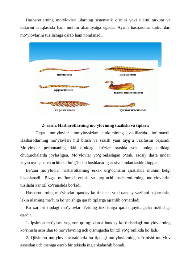 Hasharotlarning mo‘ylovlari ularning sistematik o‘rnini yoki ularni turkum va
turlarini aniqlashda ham muhim ahamiyatga egadir. Ayrim hasharotlar turkumlari
mo‘ylovlarini tuzilishiga qarab ham nomlanadi. 
2- rasm. Hasharotlarning mo‘ylovining tuzilishi va tiplari;
 
 Faqat  mo‘ylovlar  mo‘ylovsizlar  turkumining  vakillarida  bo‘lmaydi.
Hasharotlarning mo‘ylovlari  hid bilish  va  sezish  yani  tuyg‘u  vazifasini  bajaradi.
Mo‘ylovlar  peshonaning  ikki  o‘nidagi  ko‘zlar  orasida  yoki  uning  oldidagi
chuqurchalarda joylashgan. Mo‘ylovlar  yo‘g‘onlashgan o‘zak, asosiy dasta undan
keyin oyoqcha va uchinchi bo‘g‘indan boshlanadigan xivchindan tashkil topgan. 
Ba’zan  mo‘ylovlar  hasharotlarning  erkak  urg‘ochisini  ajratishda  muhim  belgi
hisoblanadi.  Bizga  ma’lumki  erkak  va  urg‘ochi  hasharotlarning  mo‘ylovlarini
tuzilishi xar xil ko‘rinishda bo‘ladi.
Hasharotlarning mo‘ylovlari qanday ko‘rinishda yoki qanday vazifani bajarmasin,
lekin ularning ma’lum ko‘rinishiga qarab tiplarga ajratilib o‘rnatiladi.
Bu xar bir tipdagi mo‘ylovlar o‘zining tuzilishiga qarab quyidagicha tuzilishga
egadir.
1. Ipsimon mo‘ylov- yuguron qo‘ng‘izlarda bunday ko‘rinishdagi mo‘ylovlarning
ko‘rinishi asosidan to mo‘ylovning uch qismigacha bir xil yo‘g‘onlikda bo‘ladi.
2. Qilsimon mo‘ylov-suvaraklarda bu tipdagi mo‘ylovlarning ko‘rinishi mo‘ylov
asosidan uch qismga qarab bir tekisda ingichkalashib boradi.
