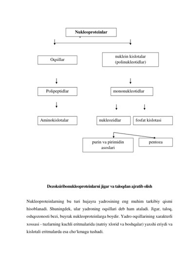  
 
                                                ↓ 
 
 
 
 
 
 
 
    
 
 
 
 
 
                                                     
 
 
 
 
 
Dezoksiribonukleoproteinlarni jigar va taloqdan ajratib olish 
 
Nukleoproteinlarning bu turi hujayra yadrosining eng muhim tarkibiy qismi 
hisoblanadi. Shuningdek, ular yadroning oqsillari deb ham ataladi. Jigar, taloq, 
oshqozonosti bezi, buyrak nukleoproteinlarga boydir. Yadro oqsillarining xarakterli 
xossasi - tuzlarning kuchli eritmalarida (natriy xlorid va boshqalar) yaxshi eriydi va 
kislotali eritmalarda esa cho‘kmaga tushadi. 
Nukleoproteinlar 
Oqsillar 
 
 
 
   
nuklein kislotalar 
(polinukleotidlar) 
Polipeptidlar 
 
 
 
 
Aminokislotalar 
 
mononukleotidlar 
nukleozidlar 
fosfat kislotasi  
purin va pirimidin 
asoslari 
pentoza 
