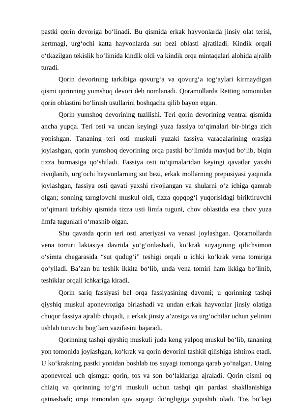 pastki qorin devoriga bo‘linadi. Bu qismida erkak hayvonlarda jinsiy olat terisi,
kertmagi,  urg‘ochi  katta hayvonlarda sut  bezi  oblasti  ajratiladi. Kindik orqali
o‘tkazilgan tekislik bo‘limida kindik oldi va kindik orqa mintaqalari alohida ajralib
turadi.
Qorin devorining tarkibiga qovurg‘a va qovurg‘a tog‘aylari kirmaydigan
qismi qorinning yumshoq devori deb nomlanadi. Qoramollarda Retting tomonidan
qorin oblastini bo‘linish usullarini boshqacha qilib bayon etgan.
Qorin yumshoq devorining tuzilishi. Teri qorin devorining ventral qismida
ancha yupqa. Teri osti va undan keyingi yuza fassiya to‘qimalari bir-biriga zich
yopishgan.  Tananing  teri  osti  muskuli  yuzaki  fassiya  varaqalarining  orasiga
joylashgan, qorin yumshoq devorining orqa pastki bo‘limida mavjud bo‘lib, biqin
tizza burmasiga qo‘shiladi. Fassiya osti to‘qimalaridan keyingi qavatlar yaxshi
rivojlanib, urg‘ochi hayvonlarning sut bezi, erkak mollarning prepusiyasi yaqinida
joylashgan, fassiya osti qavati yaxshi rivojlangan va shularni o‘z ichiga qamrab
olgan; sonning tarnglovchi muskul oldi, tizza qopqog‘i yuqorisidagi biriktiruvchi
to‘qimani tarkibiy qismida tizza usti limfa tuguni, chov oblastida esa chov yuza
limfa tugunlari o‘rnashib olgan.
Shu qavatda qorin teri osti arteriyasi va venasi joylashgan. Qoramollarda
vena  tomiri  laktasiya  davrida  yo‘g‘onlashadi,  ko‘krak  suyagining  qilichsimon
o‘simta chegarasida “sut qudug‘i” teshigi orqali u ichki ko‘krak vena tomiriga
qo‘yiladi. Ba’zan bu teshik ikkita bo‘lib, unda vena tomiri ham ikkiga bo‘linib,
teshiklar orqali ichkariga kiradi.
Qorin sariq fassiyasi  bel  orqa  fassiyasining  davomi;  u qorinning tashqi
qiyshiq muskul aponevroziga birlashadi va undan erkak hayvonlar jinsiy olatiga
chuqur fassiya ajralib chiqadi, u erkak jinsiy a’zosiga va urg‘ochilar uchun yelinini
ushlab turuvchi bog‘lam vazifasini bajaradi.
Qorinning tashqi qiyshiq muskuli juda keng yalpoq muskul bo‘lib, tananing
yon tomonida joylashgan, ko‘krak va qorin devorini tashkil qilishiga ishtirok etadi.
U ko‘krakning pastki yonidan boshlab tos suyagi tomonga qarab yo‘nalgan. Uning
aponevrozi uch qismga: qorin, tos va son bo‘laklariga ajraladi. Qorin qismi oq
chiziq  va  qorinning  to‘g‘ri  muskuli  uchun  tashqi  qin  pardasi  shakllanishiga
qatnashadi; orqa tomondan qov suyagi do‘ngligiga yopishib oladi. Tos bo‘lagi
