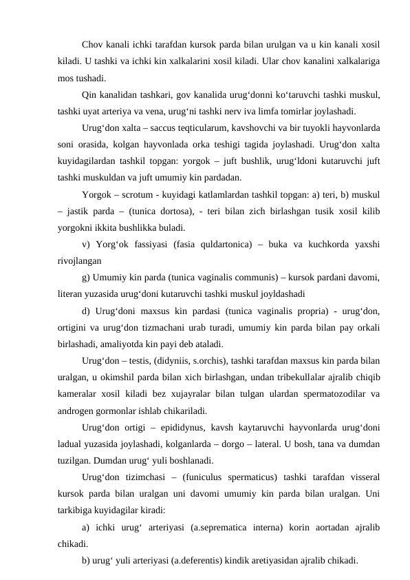 Chov kanali ichki tarafdan kursok parda bilan urulgan va u kin kanali xosil
kiladi. U tashki va ichki kin xalkalarini xosil kiladi. Ular chov kanalini xalkalariga
mos tushadi.
Qin kanalidan tashkari, gov kanalida urug‘donni ko‘taruvchi tashki muskul,
tashki uyat arteriya va vena, urug‘ni tashki nerv iva limfa tomirlar joylashadi.
Urug‘don xalta – saccus teqticularum, kavshovchi va bir tuyokli hayvonlarda
soni orasida, kolgan hayvonlada orka teshigi tagida joylashadi. Urug‘don xalta
kuyidagilardan tashkil topgan: yorgok – juft bushlik, urug‘ldoni kutaruvchi juft
tashki muskuldan va juft umumiy kin pardadan.
Yorgok – scrotum - kuyidagi katlamlardan tashkil topgan: a) teri, b) muskul
– jastik parda – (tunica dortosa), - teri bilan zich birlashgan tusik xosil kilib
yorgokni ikkita bushlikka buladi.
v)  Yorg‘ok  fassiyasi  (fasia  quldartonica)  –  buka  va  kuchkorda  yaxshi
rivojlangan
g) Umumiy kin parda (tunica vaginalis communis) – kursok pardani davomi,
literan yuzasida urug‘doni kutaruvchi tashki muskul joyldashadi
d)  Urug‘doni  maxsus  kin pardasi  (tunica  vaginalis propria)  -  urug‘don,
ortigini va urug‘don tizmachani urab turadi, umumiy kin parda bilan pay orkali
birlashadi, amaliyotda kin payi deb ataladi.
Urug‘don – testis, (didyniis, s.orchis), tashki tarafdan maxsus kin parda bilan
uralgan, u okimshil parda bilan xich birlashgan, undan tribekullalar ajralib chiqib
kameralar  xosil  kiladi  bez xujayralar  bilan  tulgan  ulardan spermatozodilar  va
androgen gormonlar ishlab chikariladi.
Urug‘don ortigi  – epididynus,  kavsh  kaytaruvchi  hayvonlarda urug‘doni
ladual yuzasida joylashadi, kolganlarda – dorgo – lateral. U bosh, tana va dumdan
tuzilgan. Dumdan urug‘ yuli boshlanadi.
Urug‘don  tizimchasi  –  (funiculus  spermaticus)  tashki  tarafdan  visseral
kursok parda bilan uralgan uni davomi umumiy kin parda bilan uralgan. Uni
tarkibiga kuyidagilar kiradi:
a)  ichki  urug‘  arteriyasi  (a.seprematica  interna)  korin  aortadan  ajralib
chikadi.
b) urug‘ yuli arteriyasi (a.deferentis) kindik aretiyasidan ajralib chikadi.
