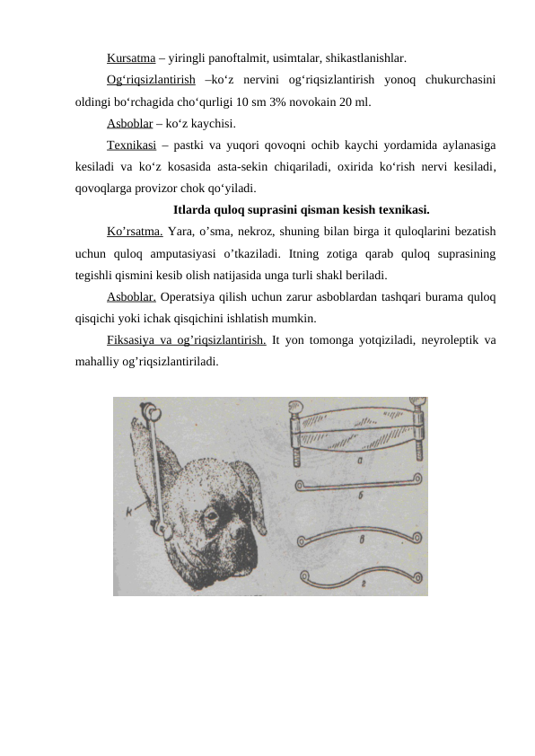 Kursatma – yiringli panoftalmit, usimtalar, shikastlanishlar.
Og‘riqsizlantirish –ko‘z  nervini  og‘riqsizlantirish  yonoq  chukurchasini
oldingi bo‘rchagida cho‘qurligi 10 sm 3% novokain 20 ml.
Asboblar – ko‘z kaychisi.
Texnikasi – pastki va yuqori qovoqni ochib kaychi yordamida aylanasiga
kesiladi va ko‘z kosasida asta-sekin chiqariladi, oxirida ko‘rish nervi kesiladi,
qovoqlarga provizor chok qo‘yiladi.
Itlarda quloq suprasini qisman kesish texnikasi.
Ko’rsatma. Yara, o’sma, nekroz, shuning bilan birga it quloqlarini bezatish
uchun  quloq  amputasiyasi  o’tkaziladi.  Itning  zotiga  qarab  quloq  suprasining
tegishli qismini kesib olish natijasida unga turli shakl beriladi.
Asboblar. Operatsiya qilish uchun zarur asboblardan tashqari burama quloq
qisqichi yoki ichak qisqichini ishlatish mumkin.
Fiksasiya va og’riqsizlantirish. It yon tomonga yotqiziladi, neyroleptik va
mahalliy og’riqsizlantiriladi.
  

