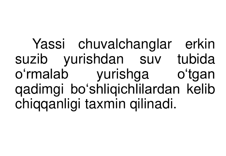 Yassi chuvalchanglar erkin 
suzib 
yurishdan 
suv 
tubida 
o‘rmalab 
yurishga 
o‘tgan 
qadimgi bo‘shliqichlilardan kelib 
chiqqanligi taxmin qilinadi.
