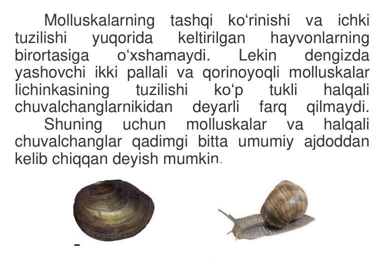 Molluskalarning tashqi ko‘rinishi va ichki 
tuzilishi 
yuqorida 
keltirilgan 
hayvonlarning 
birortasiga 
o‘xshamaydi. 
Lekin 
dengizda 
yashovchi ikki pallali va qorinoyoqli molluskalar 
lichinkasining 
tuzilishi 
ko‘p 
tukli 
halqali 
chuvalchanglarnikidan 
deyarli 
farq 
qilmaydi. 
Shuning 
uchun 
molluskalar 
va 
halqali 
chuvalchanglar qadimgi bitta umumiy ajdoddan 
kelib chiqqan deyish mumkin. 
