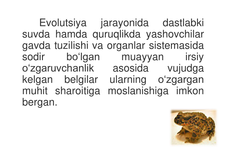 Evolutsiya 
jarayonida 
dastlabki 
suvda hamda quruqlikda yashovchilar 
gavda tuzilishi va organlar sistemasida 
sodir 
bo‘lgan 
muayyan 
irsiy 
o‘zgaruvchanlik 
asosida 
vujudga 
kelgan 
belgilar 
ularning 
o‘zgargan 
muhit sharoitiga moslanishiga imkon 
bergan. 
