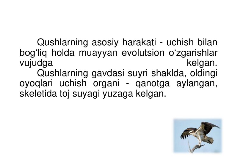 Qushlarning asosiy harakati - uchish bilan 
bog‘liq holda muayyan evolutsion o‘zgarishlar 
vujudga 
kelgan. 
Qushlarning gavdasi suyri shaklda, oldingi 
oyoqlari uchish organi - qanotga aylangan, 
skeletida toj suyagi yuzaga kelgan. 
