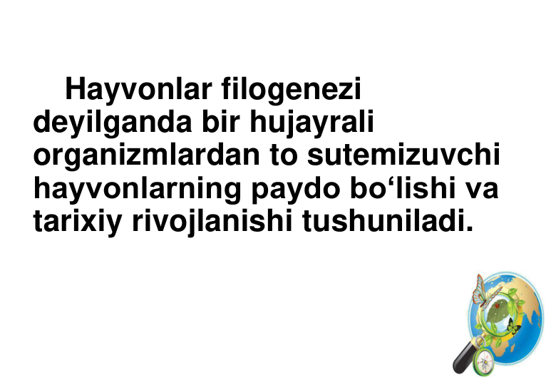 Hayvonlar filogenezi 
deyilganda bir hujayrali 
organizmlardan to sutemizuvchi 
hayvonlarning paydo bo‘lishi va 
tarixiy rivojlanishi tushuniladi.
