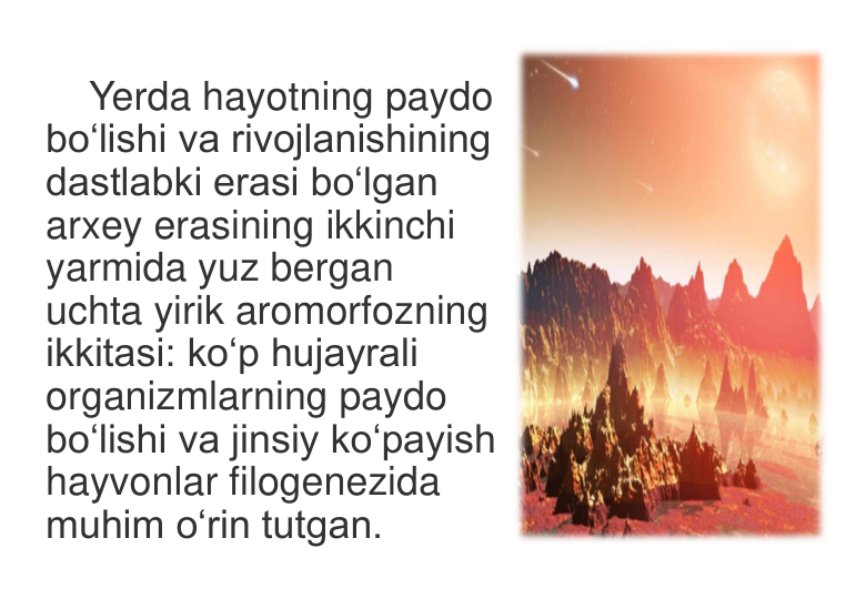 Yerda hayotning paydo 
bo‘lishi va rivojlanishining 
dastlabki erasi bo‘lgan 
arxey erasining ikkinchi 
yarmida yuz bergan 
uchta yirik aromorfozning 
ikkitasi: ko‘p hujayrali 
organizmlarning paydo 
bo‘lishi va jinsiy ko‘payish 
hayvonlar filogenezida 
muhim o‘rin tutgan.
