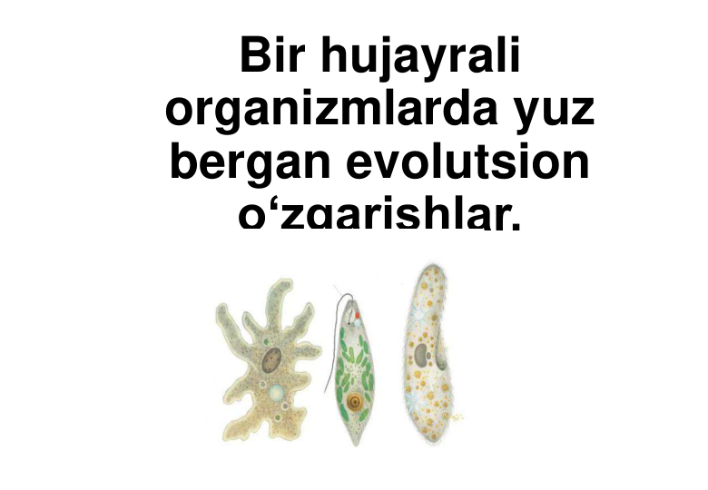 Bir hujayrali 
organizmlarda yuz 
bergan evolutsion 
o‘zgarishlar. 
