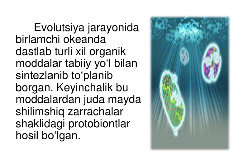 Evolutsiya jarayonida 
birlamchi okeanda 
dastlab turli xil organik 
moddalar tabiiy yo‘l bilan 
sintezlanib to‘planib 
borgan. Keyinchalik bu 
moddalardan juda mayda 
shilimshiq zarrachalar 
shaklidagi protobiontlar 
hosil bo‘lgan. 
