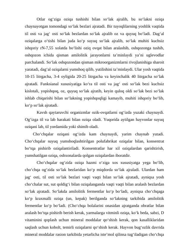 Otlar  og‘ziga  oziqa  tushishi  bilan  so‘lak  ajralib,  bu  so‘lakni  oziqa
chaynayotgan tomondagi so‘lak bezlari ajratadi. Bir tuyoqlilarning yoshlik vaqtida
til osti va jag‘ osti so‘lak bezlardan so‘lak ajralib oz va quyuq bo‘ladi. Dag‘al
oziqalarga o‘tishi  bilan juda ko‘p suyuq so‘lak ajralib, so‘lak muhiti  kuchsiz
ishqoriy rN-7,55 xolatda bo‘lishi oziq ovqat bilan aralashib, oshqozonga tushib,
oshqozon  ichida  qisman  amilolitik  jarayonlarni  ta’minlaydi  ya’ni  uglevodlar
parchalandi. So‘lak oshqozondan qisman mikroorganizmlarni rivojlanishiga sharoit
yaratadi, dag‘al oziqalarni yumshoq qilib, yutilishini ta’minlaydi. Ular yosh vaqtida
10-15 litrgacha, 3-4 oyligida 20-25 litrgacha va keyinchalik 40 litrgacha so‘lak
ajratadi. Funksianal xususiyatiga ko‘ra til osti va jag‘ osti so‘lak bezi kuchsiz
kislotali, yopishqoq, oz, quyuq so‘lak ajratib, keyin quloq oldi so‘lak bezi so‘lak
ishlab chiqarishi bilan so‘lakning yopishqoqligi kamayib, muhiti ishqoriy bo‘lib,
ko‘p so‘lak ajratadi.
Kavsh qaytaruvchi organizmlar ozik-ovqatlarni og‘izda yuzaki chaynaydi.
Og‘izga til va lab harakati bilan oziqa oladi. Yuqorida aytilgan hayvonlar suyuq
oziqani lab, til yordamida yoki shimib oladi.
Cho‘chqalar  oziqani  og‘izda  kam  chaynaydi,  yarim  chaynab  yutadi.
Cho‘chqalar  suyuq  yumshoqlashtirilgan  polufabrikat  oziqalar  bilan,  konsentrat
bo‘tqa  pishirib  oziqalantiriladi.  Konsentratlar  har  xil  oziqalardan  qarishtirish,
yumshatilgan oziqa, oshxonalarda qolgan oziqalardan iboratdir. 
Cho‘chqalar  og‘zida  oziqa  hazmi  o‘ziga  xos  xususiyatga  yega  bo‘lib,
cho‘chqa og‘zida so‘lak bezlaridan ko‘p miqdorda so‘lak ajraladi. Ulardan ham
jag‘ osti, til osti so‘lak bezlari vaqti vaqti bilan so‘lak ajratadi, ayniqsa yosh
cho‘chalar sut, sut qoldig‘i bilan oziqalanganda vaqti vaqti bilan aralash bezlardan
so‘lak ajratadi. So‘lakda amilolitik fermentlar ko‘p bo‘ladi, ayniqsa cho‘chqaga
ko‘p  kraxmalli  oziqa  (un,  kepak)  berilganda  so‘lakning  tarkibida  amilolitik
fermentlar ko‘p bo‘ladi. (Cho‘chqa bolalarini onasidan ajratganda obratlar bilan
aralash bo‘tqa pishirib berish kerak, yarmalarga vitminli oziqa, ko‘k beda, sabzi, D
vitaminini qoplash uchun mineral moddalar qo‘shish kerak, qon kasalliklaridan
saqlash uchun kobolt, temirli oziqalarni qo‘shish kerak. Hayvon bug‘ozlik davrida
mineral moddalar rasion tarkibida yetarlicha iste’mol qilinsa tug‘iladigan cho‘chqa
