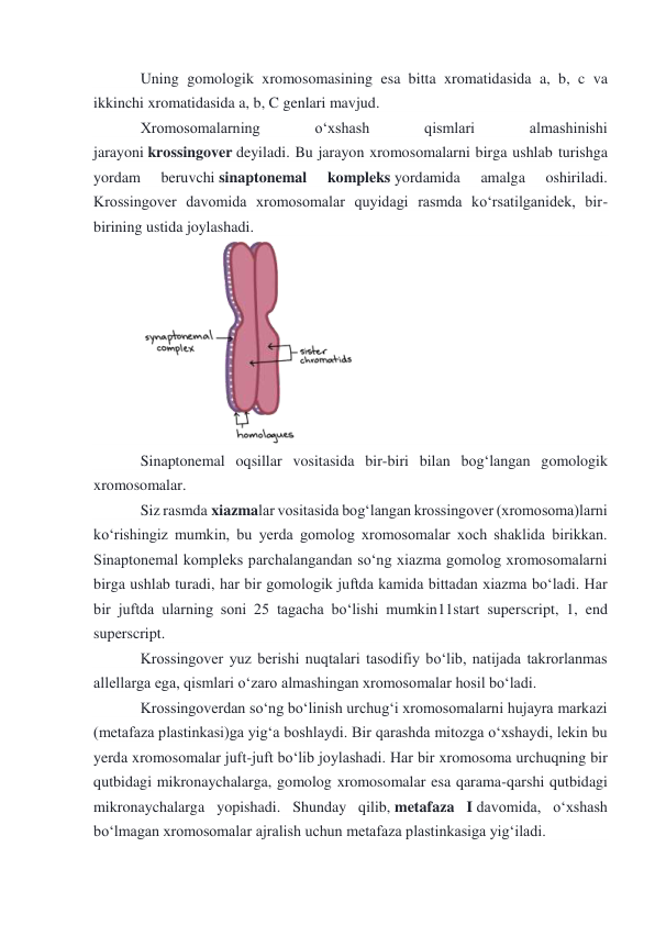 Uning gomologik xromosomasining esa bitta xromatidasida a, b, c va 
ikkinchi xromatidasida a, b, C genlari mavjud. 
Xromosomalarning 
oʻxshash 
qismlari 
almashinishi 
jarayoni krossingover deyiladi. Bu jarayon xromosomalarni birga ushlab turishga 
yordam 
beruvchi sinaptonemal 
kompleks yordamida 
amalga 
oshiriladi. 
Krossingover davomida xromosomalar quyidagi rasmda koʻrsatilganidek, bir-
birining ustida joylashadi. 
 
Sinaptonemal oqsillar vositasida bir-biri bilan bogʻlangan gomologik 
xromosomalar. 
Siz rasmda xiazmalar vositasida bogʻlangan krossingover (xromosoma)larni 
koʻrishingiz mumkin, bu yerda gomolog xromosomalar xoch shaklida birikkan. 
Sinaptonemal kompleks parchalangandan soʻng xiazma gomolog xromosomalarni 
birga ushlab turadi, har bir gomologik juftda kamida bittadan xiazma boʻladi. Har 
bir juftda ularning soni 25 tagacha boʻlishi mumkin11start superscript, 1, end 
superscript. 
Krossingover yuz berishi nuqtalari tasodifiy boʻlib, natijada takrorlanmas 
allellarga ega, qismlari oʻzaro almashingan xromosomalar hosil boʻladi. 
Krossingoverdan soʻng boʻlinish urchugʻi xromosomalarni hujayra markazi 
(metafaza plastinkasi)ga yigʻa boshlaydi. Bir qarashda mitozga oʻxshaydi, lekin bu 
yerda xromosomalar juft-juft boʻlib joylashadi. Har bir xromosoma urchuqning bir 
qutbidagi mikronaychalarga, gomolog xromosomalar esa qarama-qarshi qutbidagi 
mikronaychalarga yopishadi. Shunday qilib, metafaza I davomida, oʻxshash 
boʻlmagan xromosomalar ajralish uchun metafaza plastinkasiga yigʻiladi. 
