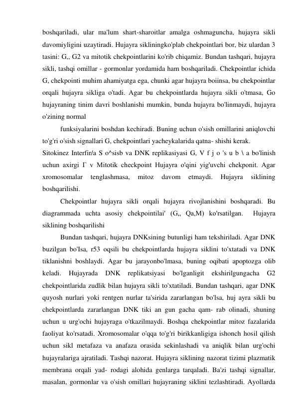 boshqariladi, ular ma'lum shart-sharoitlar amalga oshmaguncha, hujayra sikli 
davomiyligini uzaytiradi. Hujayra sikliningko'plab chekpointlari bor, biz ulardan 3 
tasini: G,, G2 va mitotik chekpointlarini ko'rib chiqamiz. Bundan tashqari, hujayra 
sikli, tashqi omillar - gormonlar yordamida ham boshqariladi. Chekpointlar ichida 
G, chekpointi muhim ahamiyatga ega, chunki agar hujayra boiinsa, bu chekpointlar 
orqali hujayra sikliga o'tadi. Agar bu chekpointlarda hujayra sikli o'tmasa, Go 
hujayraning tinim davri boshlanishi mumkin, bunda hujayra bo'linmaydi, hujayra 
o'zining normal 
funksiyalarini boshdan kechiradi. Buning uchun o'sish omillarini aniqlovchi 
to'g'ri o'sish signallari G, chekpointlari yacheykalarida qatna- shishi kerak. 
Sitokinez Interfir/a S o^sisb va DNK replikasiyasi G, V f j o 's u b \ a bo'linish 
uchun axirgi Г v Mitotik checkpoint Hujayra o'qini yig'uvchi chekponit. Agar 
xromosomalar 
tenglashmasa, 
mitoz 
davom 
etmaydi. 
Hujayra 
siklining 
boshqarilishi. 
Chekpointlar hujayra sikli orqali hujayra rivojlanishini boshqaradi. Bu 
diagrammada uchta asosiy chekpointilai' (G„ Qa,M) ko'rsatilgan.  Hujayra 
siklining boshqarilishi 
Bundan tashqari, hujayra DNKsining butunligi ham tekshiriladi. Agar DNK 
buzilgan bo'Isa, r53 oqsili bu chekpointlarda hujayra siklini to'xtatadi va DNK 
tiklanishni boshlaydi. Agar bu jarayonbo'lmasa, buning oqibati apoptozga olib 
keladi. 
Hujayrada 
DNK 
replikatsiyasi 
bo'lganligit 
ekshirilgungacha 
G2 
chekpointlarida zudlik bilan hujayra sikli to'xtatiladi. Bundan tashqari, agar DNK 
quyosh nurlari yoki rentgen nurlar ta'sirida zararlangan bo'lsa, huj ayra sikli bu 
chekpointlarda zararlangan DNK tiki an gun gacha qam- rab olinadi, shuning 
uchun u urg'ochi hujayraga o'tkazilmaydi. Boshqa chekpointlar mitoz fazalarida 
faoliyat ko'rsatadi. Xromosomalar o'qqa to'g'ri birikkanligiga ishonch hosil qilish 
uchun sikl metafaza va anafaza orasida sekinlashadi va aniqlik bilan urg'ochi 
hujayralariga ajratiladi. Tashqi nazorat. Hujayra siklining nazorat tizimi plazmatik 
membrana orqali yad- rodagi alohida genlarga tarqaladi. Ba'zi tashqi signallar, 
masalan, gormonlar va o'sish omillari hujayraning siklini tezlashtiradi. Ayollarda 
