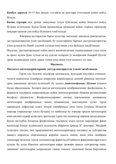 Бамбук дарахти 10-15 йил яшади, гуллайди ва уруғлари етилгандан кейин нобуд 
бўлади.  
Балиқ турлари хам урчиш мавсумида тухум қўйгандан кейин ёппасига нобуд 
бўлиши кузатилади. Бунда балиқ организмида урчишдан кейин стероид гормонлар 
миқдори ортиши уни нобуд бўлишига олиб келади.  
                   Юқорида келтирилган барча ҳолатлар эволюция давомида ривожланган, 
дастурлаштирилган ўлим ҳисобланиб, бу ҳолатларнинг барчаси дастурлаштирилган 
ўлим асосида юз бериб, умумий олганда популяция учун фойдали ҳисобланади. 
Масалан, уруғлантиргандан кейин авлод яшовчанлигини таъминланиши учун озуқа 
ва ареал муҳим ўрин тутади ва шу нуқтаи назардан ўз вазифасини бажариб бўлган 
эркак индивиднинг хаёти давом этиши популяция учун маънога эга эмас.  
Митоптоз 
Митоптоз митохондрияларнинг дастурлаштирилган ўлими ҳисобланади.  
                  Турли хил бузувчи таъсирлар натижасида, жумладан кислород етишмов-
чилиги шароитида ҳужайрада емирилиш жараёнларида доимий равишда митохон-
дрия ҳажмининг ортиши кузатилиб, бу ҳодиса митохондрияниг бўкиши атамаси 
билан ифодаланади. Ҳозирги вақтда митохондрия мембранасининг фосфолипаза А2 
ферменти таъсирида емирилишидан кейин митохондриянинг бўкиши механизмлари 
батафсил ўрганилган. Фосфолипидларнинг қисман парчаланиши натижасида 
митохондрия 
мембранасида 
липид 
қўшқаватида 
шаклланувчи 
ҳолат 
турли 
даражадаги дефектлар юзага келади (мембранада унча катта ўлчамда бўлмаган 
поралар (тирқишлар) хосил бўлади), ўз навбатида бу поралар орқали митохондрия 
ички қисмига атроф муҳитдага эритмадан турли хил катионлар кириши жадаллашади. 
Бунда дастлабки босқичда фосфолипаза таъсирида юзага келган поралардан фақат 
катионлар ўтиши мумкинлиги кузатилган (биринчи ўринда К+ ионлари). Меъёрий 
ҳолатдаги (интакт, ёки зарарланмаган) митохондрияларда кислород ва субстратлар 
мавжуд шароитда энергиялашув жараёни амалга ошади, яъни ички мембрана 
томонлари ўртасида электр потенциаллар фарқи ва рН қиймати фарқланишлари юзага 
келади. Бу ҳолат бевосита митохондрия нафас занжири орқали электронлар таши-
лишининг митохондрия матрискидан ташқи томонга ташилиши билан биргаликда 
