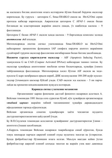 ва каспазага боғлиқ апоптозни юзага келтирувчи йўлни бошлаб берувчи оқсиллар 
киритилади. Бу гуруҳга – цитохром С, Smac/DIABLO омили ва  HtrA2/Omi серин 
протеаза кабилар киритилади. Ажратилган цитохром С APAF-1 омили билан 
боғланади ва кластеризация жараёни амалга ошади, ўз навбатида каспаза – 9 
фаоллашади.  
Цитохром С билан APAF-1 оқсили ҳамда каспаза – 9 биргаликда комплекс ҳолида 
апоптосома  деб аталади.  
Митохондрияда опотик 
сигнал узатилишида 
Smac/DIABLO ва HtrA2/Omi 
кабиларнинг проапоптик функцияси IAP синфига кирувчи апоптоз жараёнини 
сусайтириб турувчи оқсиллар фаоллигини ингибирлаши билан боғлиқ ҳисобланади.  
Иккинчи гуруҳга киритилувчи оқсиллар – AIF (Apoptosis Inducing Factor), 
эдонуклеаза G ва CAD (Caspase Activated DNAse) кабилардан ташкил топган. Бу 
оқсиллар ҳужайрада апоптознинг нисбатан кечки босқичларида, ҳужайра ўлимга 
тайёрланишида фаоллашади. Митохонрияда хосил бўлган AIF оқсили ва эндо-
нуклеза G ядро мембранаси орқали кириб, ДНК молекуласини 180-200 жуфт нуклео-
тидлар ўлчамидаги қисмлар бўйлаб узади. CAD оқсили эса каспаза – 3 ни парча-
лайди ва хроматин конденсациясини вужудга келтиради.  
Қаришда сигнал узатилиш механизми 
                Организмнинг қариш феномени дастлаб феноптоз назарияси асосчиси А. 
Вейсман томонидан 1881 йилда олға сурилган бўлиб, кўп ҳужайрали организмларда 
«табиий қариш» жараёни табиий танланишнинг ҳужайра даражадасидаги 
ифодаланиши тарзида кўрсатилади.  
Вейсман 
организмда 
соматик 
ҳужайралари 
ҳаёти 
чекланган 
муддатга 
дастурлаштирилганлигини қайд қилиб ўтади.  
Бу В.П.Скулачев томонидан асосланган ҳужайранинг дастурлаштирилган ўлими – 
апоптозга ўхшаш ҳисобланади. 
А.Каррель томонидан Вейсман назарияси тажрибаларда синаб кўрилган, бунда 
товуқ миокарди парчаси ажратиб олиниб озуқа муҳитига экилган ва ўстирилган. 
Бунда фибробластлар бўлинишии юзага келган. Маълум вақтдан кейин ўсган 
фибробластлар ажратиб олиниб алоҳида экилган ва жараён узоқ вақт давомида 
