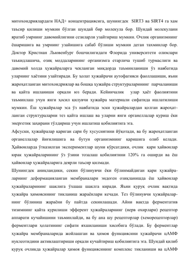 митохондриялардаги НАД+ концентрациясига, шунингдек  SIRT3 ва SIRT4 га хам 
таъсир қилиши мумкин бўлган шундай бир молекула бор. Шундай молекулани 
яратиб умрнинг давомийлигини сезиларли узайтириш мумкин. Очлик организмнинг 
ёшаришига ва умрнинг узайишига сабаб бўлиши мумкин деган тахминлар бор.   
Доктор Кристиан Льювенбург бошчилигидаги Флорида университети олимлари 
таъкидлашича, озиқ моддаларининг организмга етарлича тушиб турмаслиги ва 
давомий холда ҳужайраларга чекланган миқдорда таъминланиши ўз навбатида 
уларнинг хаётини узайтиради. Бу ҳолат ҳужайрачи аутофагияси фаоллашиши, яъни 
жароҳатланган митохондриялар ва бошқа ҳужайра структураларининг  парчаланиши 
ва қайта ишланиши орқали юз беради. Кейинчалик  улар ҳаёт фаолиятини 
таъминлаш учун янги ҳосил қилувчи ҳужайра материали сифатида ишлатилиши 
мумкин. Ёш ҳужайралар эса ўз навбатида эски ҳужайралардан қолган жароҳат-
ланган структураларни тез қайта ишлаш ва уларни янги органеллалар қуриш ёки 
энергетик заҳирани тўлдириш учун ишлатиш қобилиятига эга. 
Афсуски, ҳужайралар қариган сари бу хусусиятини йўқотади, ва бу жароҳатланган 
органеллалар йиғилишига ва бутун организмнинг қаришига олиб келади. 
Ҳайвонларда ўтказилган экспериментлар шуни кўрсатдики, очлик  қари ҳайвонлар 
юрак ҳужайраларининг ўз ўзини тозалаш қобилиятини 120% га оширди ва ёш 
ҳайвонлар ҳужайраларига деярли таъсир қилмади. 
Шунингдек аниқландики, секин бўлинувчи ёки бўлинмайдиган қари ҳужайра-
ларнинг деформацияланган мембраналари эндоген озиқланишда ёш ҳайвонлар 
ҳужайраларининг шаклига ўхшаш шаклга киради. Яъни қуруқ очлик вақтида 
ҳужайра ҳимоясининг тикланиш жараёнлари кечади. Тез бўлинувчи ҳужайралар-
нинг бўлиниш жараёни бу пайтда секинлашади. Айни вақтда ферментатив 
тизимнинг қайта қурилиши эфферент ҳужайраларнинг (нерв охирлари) рецептор 
аппарати кучайишини таъминлайди, ва бу ана шу рецепторлар (хеморецепторлар) 
ферментлари ҳолатининг сифати яхшиланиши хисобига бўлади. Бу ферментлар 
ҳужайра мембраналарида жойлашган ва ҳимоя функциясини ҳужайрачи цАМФ 
нуклеотидини активлаштириши орқали кучайтириш қобилиятига эга. Шундай қилиб 
қуруқ очликда ҳужайралар ҳимоя функциясининг комплекс тикланиши ва цАМФ 
