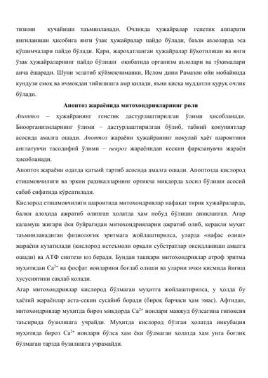 тизими  кучайиши таъминланади. Очликда ҳужайралар генетик аппарати 
янгиланиши ҳисобига янги ўзак ҳужайралар пайдо бўлади, баъзи аъзоларда эса 
қўшимчалари пайдо бўлади. Қари, жароҳатланган ҳужайралар йўқотилиши ва янги 
ўзак ҳужайраларнинг пайдо бўлиши  оқибатида организм аъзолари ва тўқималари 
анча ёшаради. Шуни эслатиб қўймоқчиманки, Ислом дини Рамазон ойи мобайнида 
кундузи емоқ ва ичмоқдан тийилишга амр қилади, яъни қисқа муддатли қуруқ очлик 
бўлади. 
Апоптоз жараёнида митохондрияларнинг роли 
Апоптоз 
– 
ҳужайранинг 
генетик 
дастурлаштирилган 
ўлими 
ҳисобланади. 
Биоорганизмларнинг ўлими – дастурлаштирилган бўлиб, табиий қонуниятлар 
асосида амалга ошади. Апоптоз жараёни ҳужайранинг ноқулай ҳаёт шароитини 
англатувчи тасодифий ўлими – некроз жараёнидан кескин фарқланувчи жараён 
ҳисобланади.  
Апоптоз жараёни одатда қатъий тартиб асосида амалга ошади. Апоптозда кислород 
етишмовчилиги ва эркин радикалларнинг ортиқча миқдорда хосил бўлиши асосий 
сабаб сифатида кўрсатилади. 
Кислород етишмовчилиги шароитида митохондриялар нафақат тирик ҳужайраларда, 
балки алоҳида ажратиб олинган ҳолатда ҳам нобуд бўлиши аниқланган. Агар 
каламуш жигари ёки буйрагидан митохондрияларни ажратиб олиб, керакли муҳит 
таъминланадиган физиологик эритмага жойлаштирилса, уларда «нафас олиш» 
жараёни кузатилади (кислород истеъмоли орқали субстратлар оксидланиши амалга 
ошади) ва АТФ синтези юз беради. Бундан ташқари митохондриялар атроф эритма 
муҳитидан Са2+ ва фосфат ионларини боғлаб олиши ва уларни ички қисмида йиғиш 
хусусиятини сақлаб қолади.  
Агар митохондриялар кислород бўлмаган муҳитга жойлаштирилса, у ҳолда бу 
ҳаётий жараёнлар аста-секин сусайиб боради (бироқ барчаси ҳам эмас). Афтидан, 
митохондриялар муҳитда бироз миқдорда Са2+ ионлари мавжуд бўлсагина гипоксия 
таъсирида бузилишга учрайди. Муҳитда кислород бўлган ҳолатда инкубация 
муҳитида бироз Са2+ ионлари бўлса хам ёки бўлмаган ҳолатда хам унга боғлиқ 
бўлмаган тарзда бузилишга учрамайди.  
